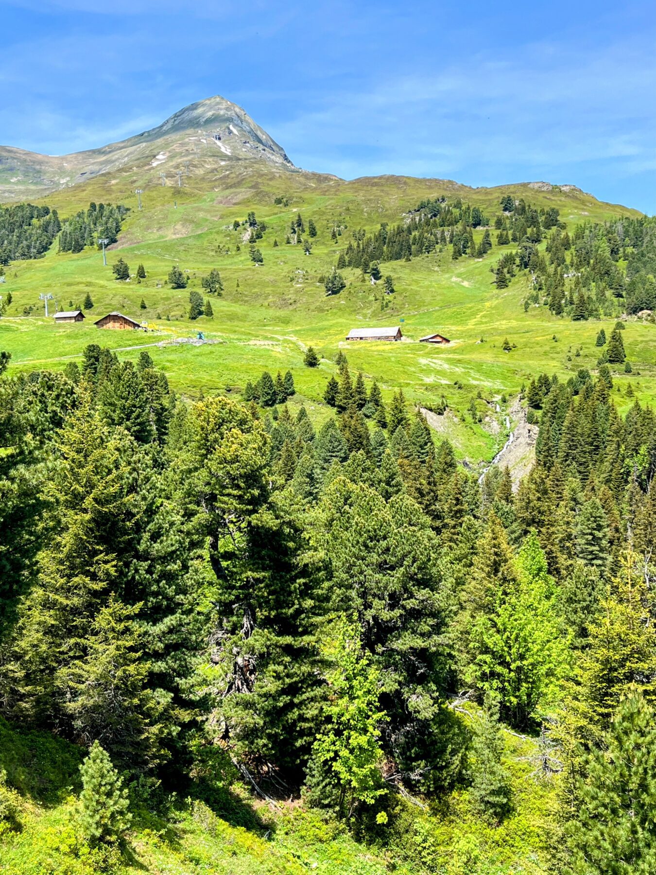 wanderung_via_alpina_grindelwald_lauterbrunnen_