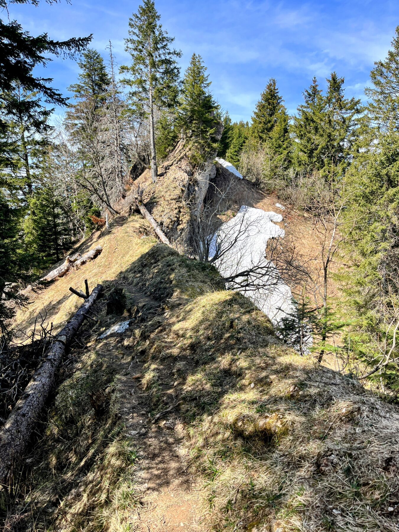 wanderung_hirzli_