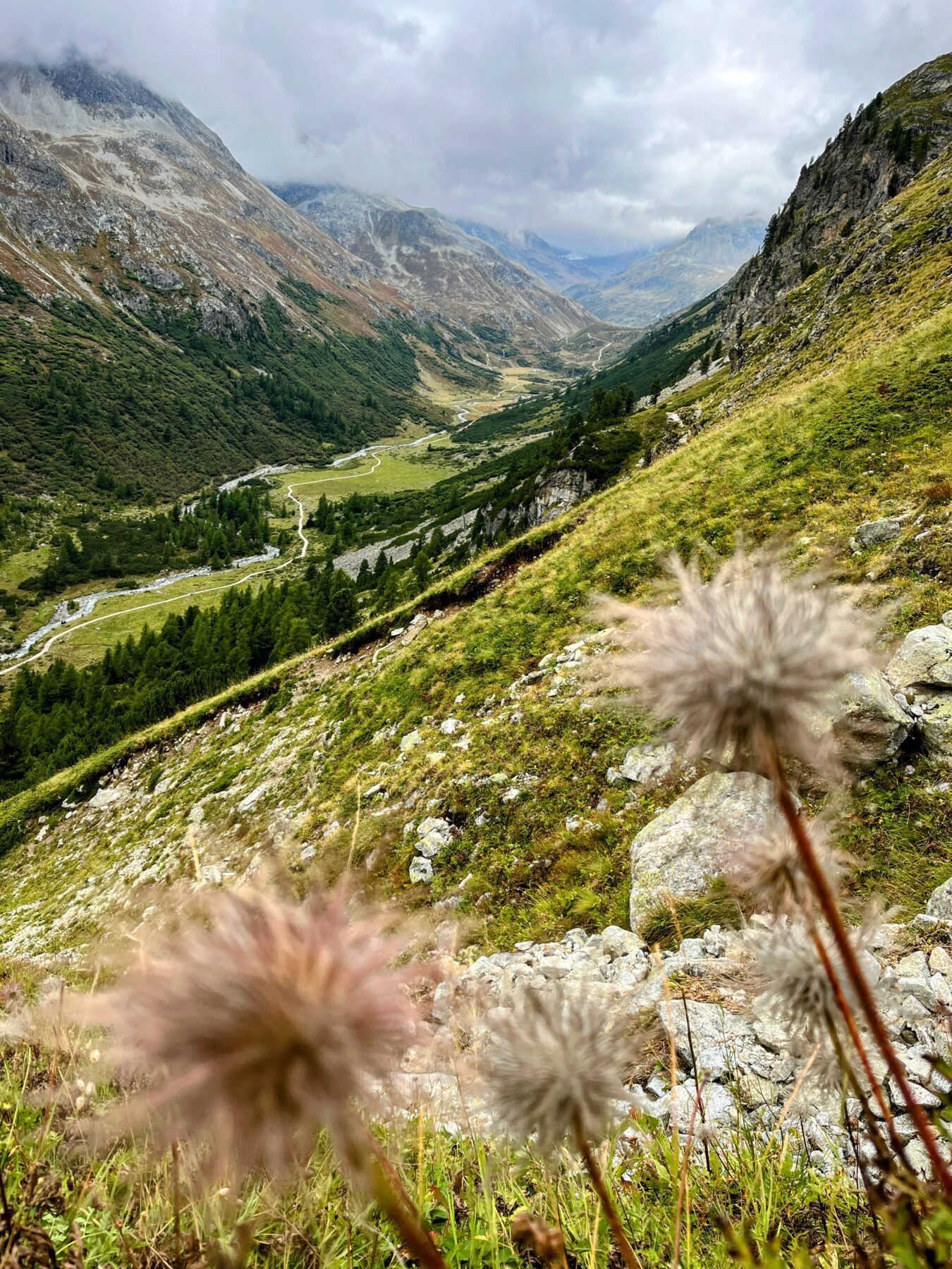 wanderung_bernina_trek_tag_2_eschahuette_jenatschuette_