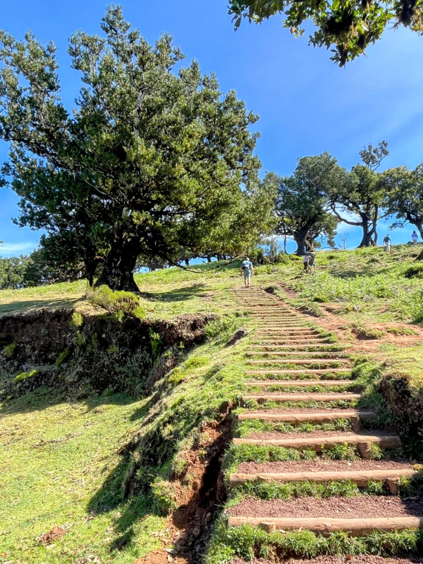 wanderung_fanal_