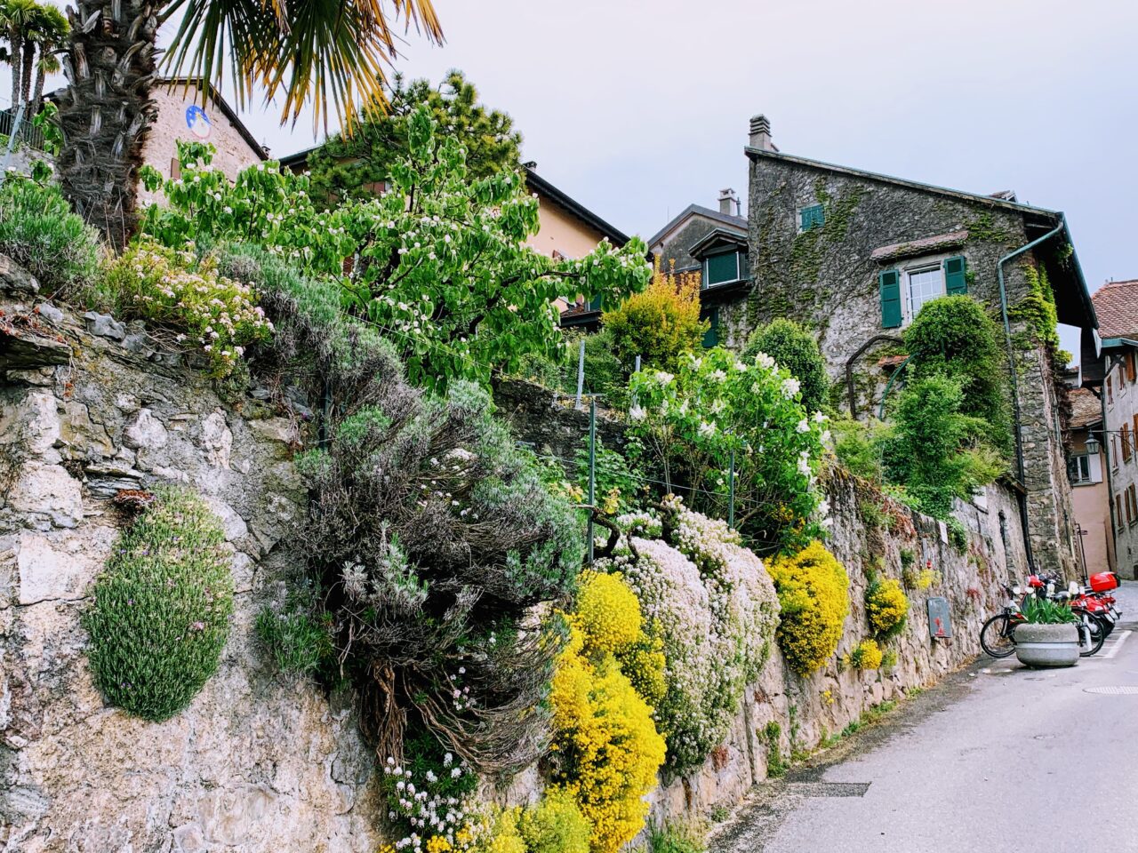 velotour_mittellandroute_lausanne_vevey__IMG_7803