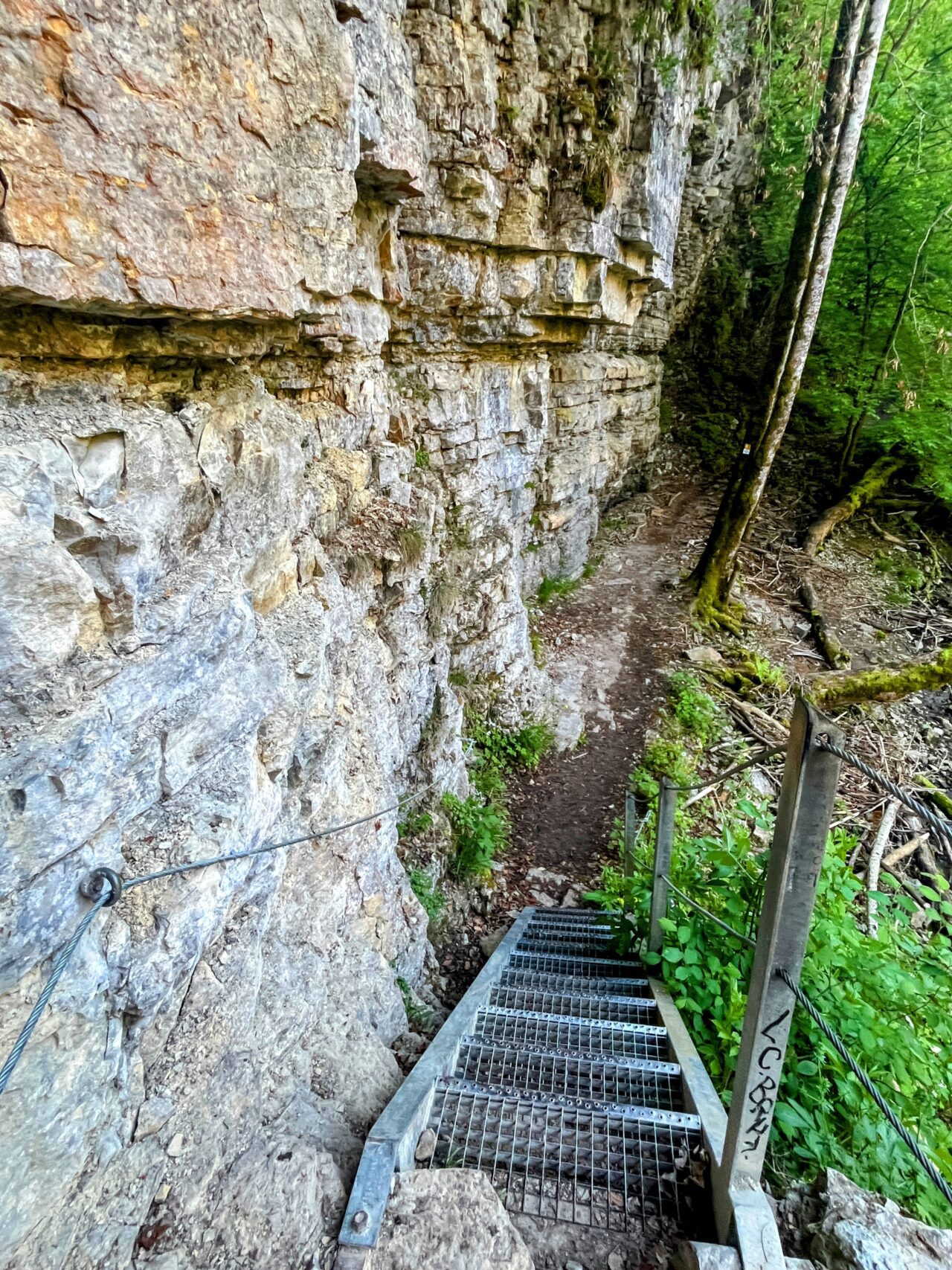 wanderung_schluchtensteig_schwarzwald_