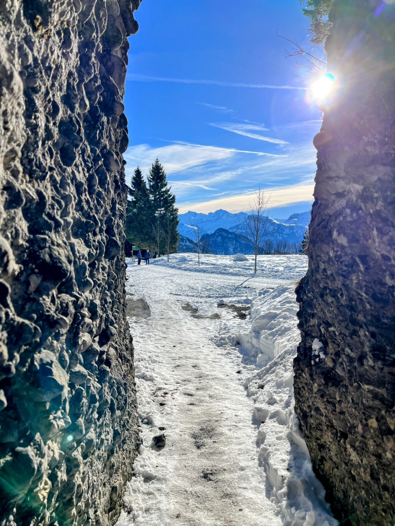 winterwandern_rigi_