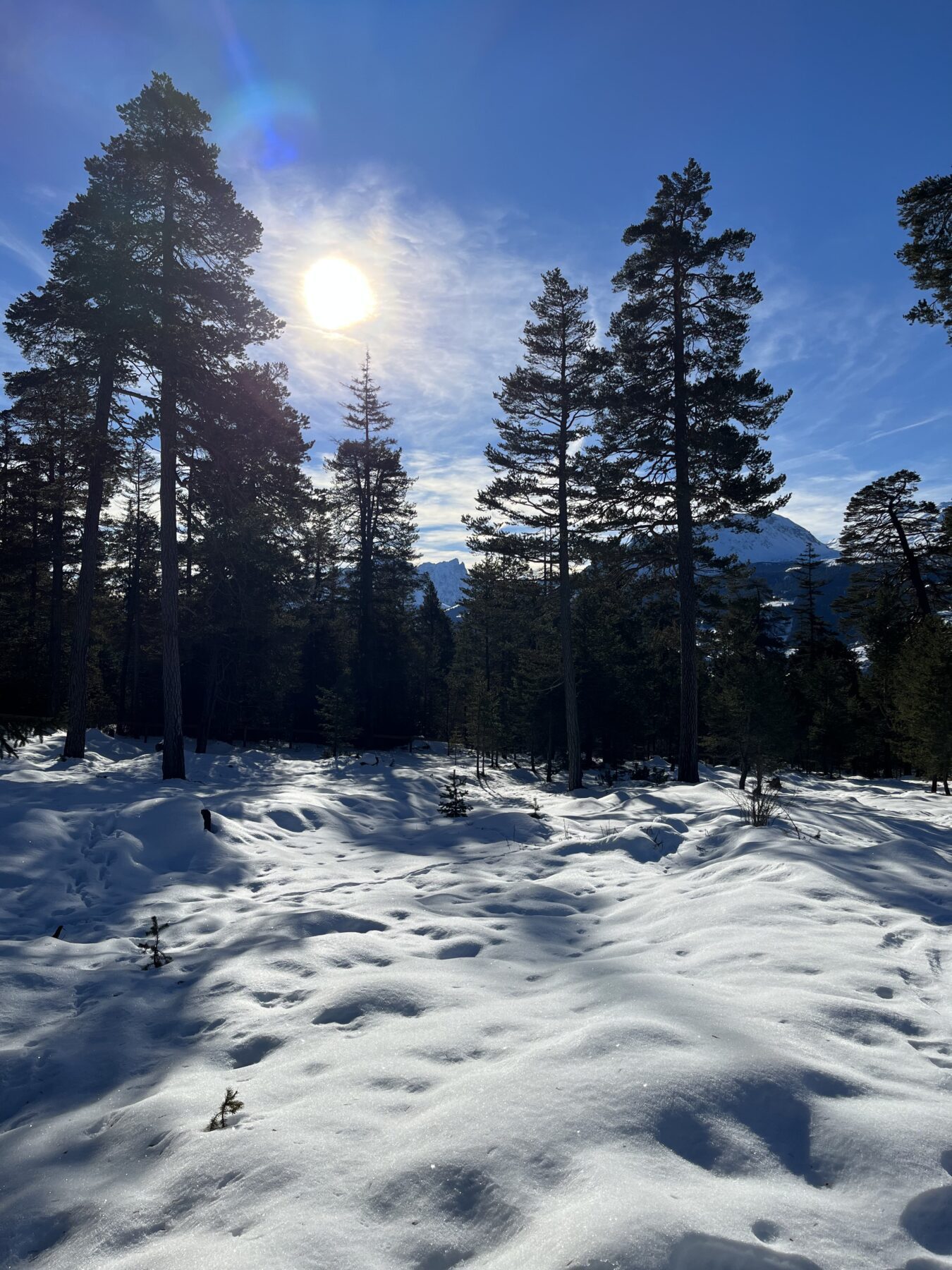 schneeschuhwandern_lantsch__IMG_0285