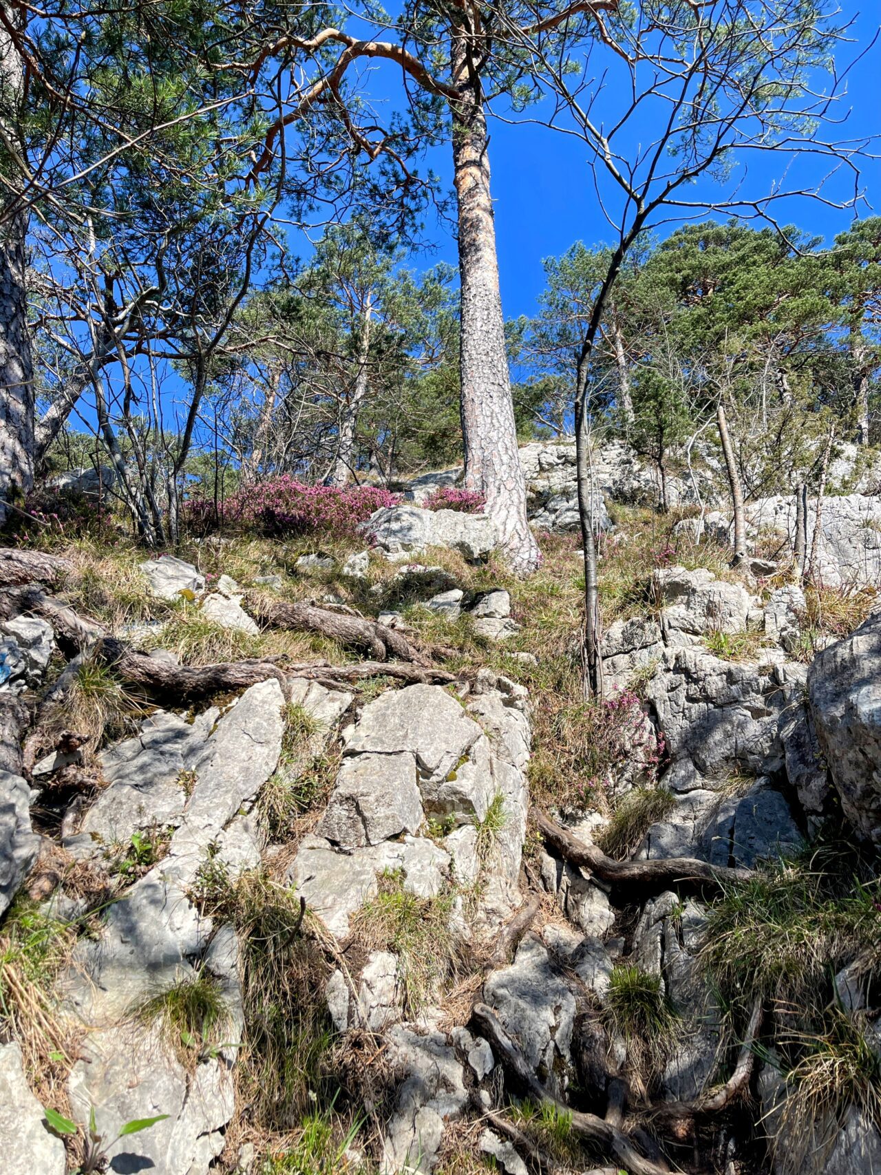 wanderung_urmiberg_stockflue_