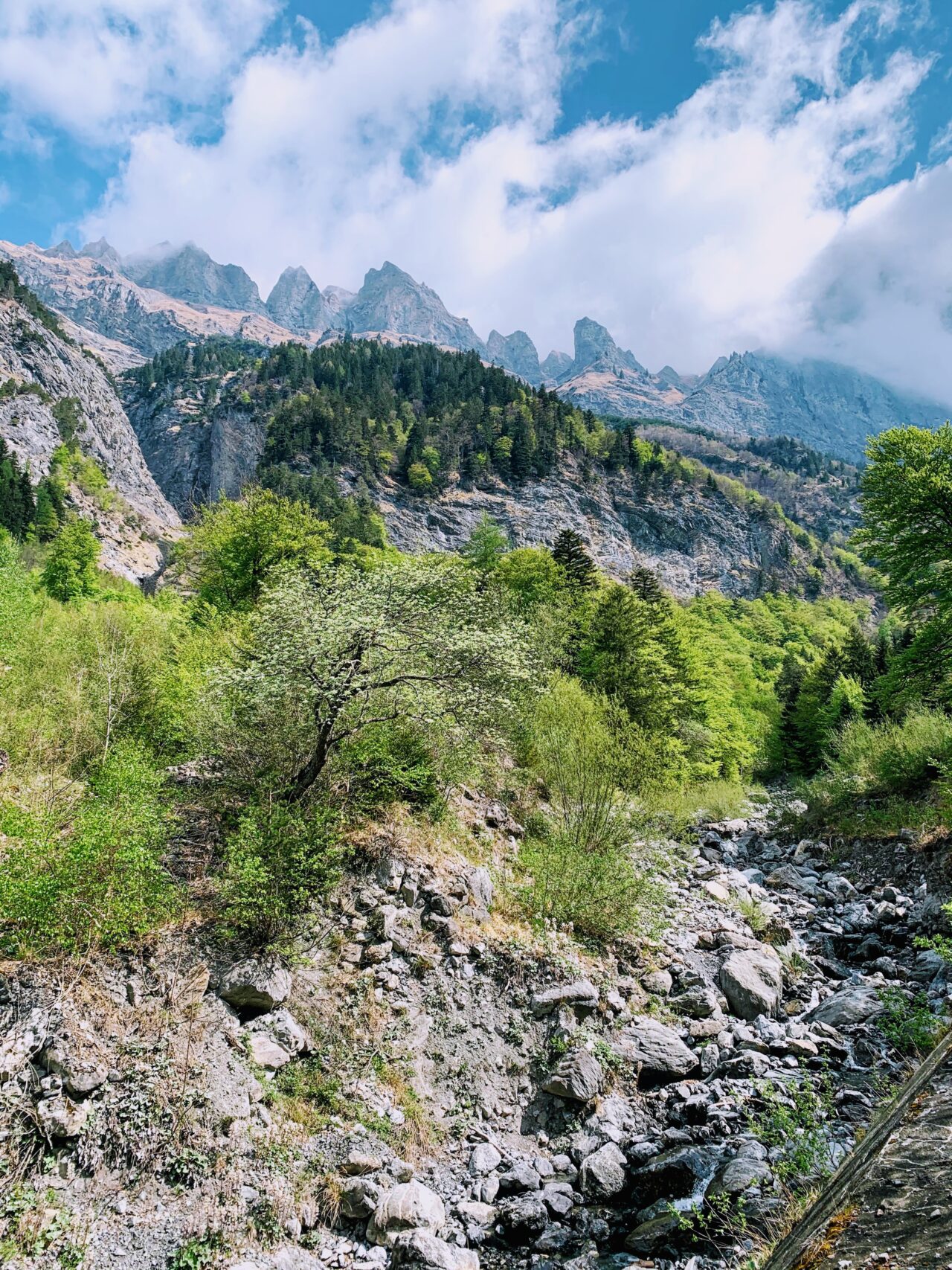 wanderung_enderlinhuette_