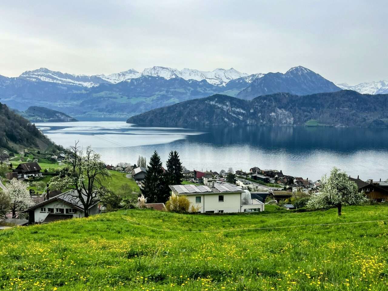 wanderung_weggis_rigi_