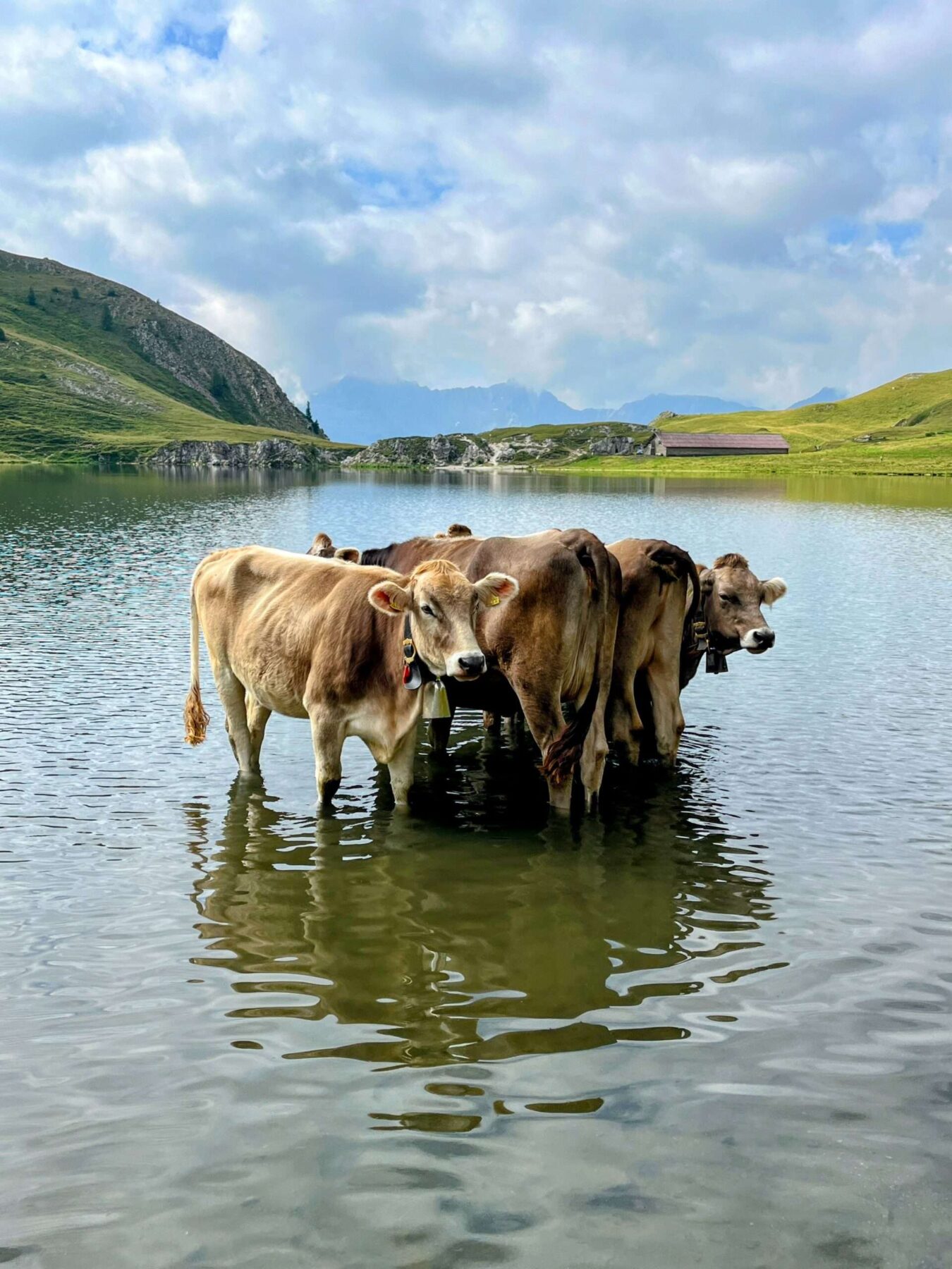 wanderung_ritomsee_lago_di_tom_cadagnosee_