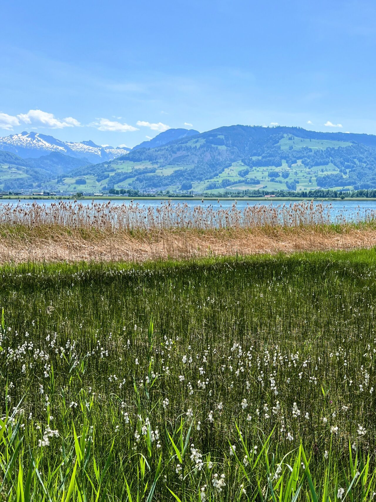 umrundung_zürichsee_schmerikon_stäfa_