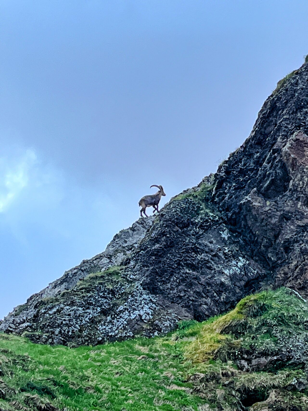 wanderung_bristen_hüfihütte_