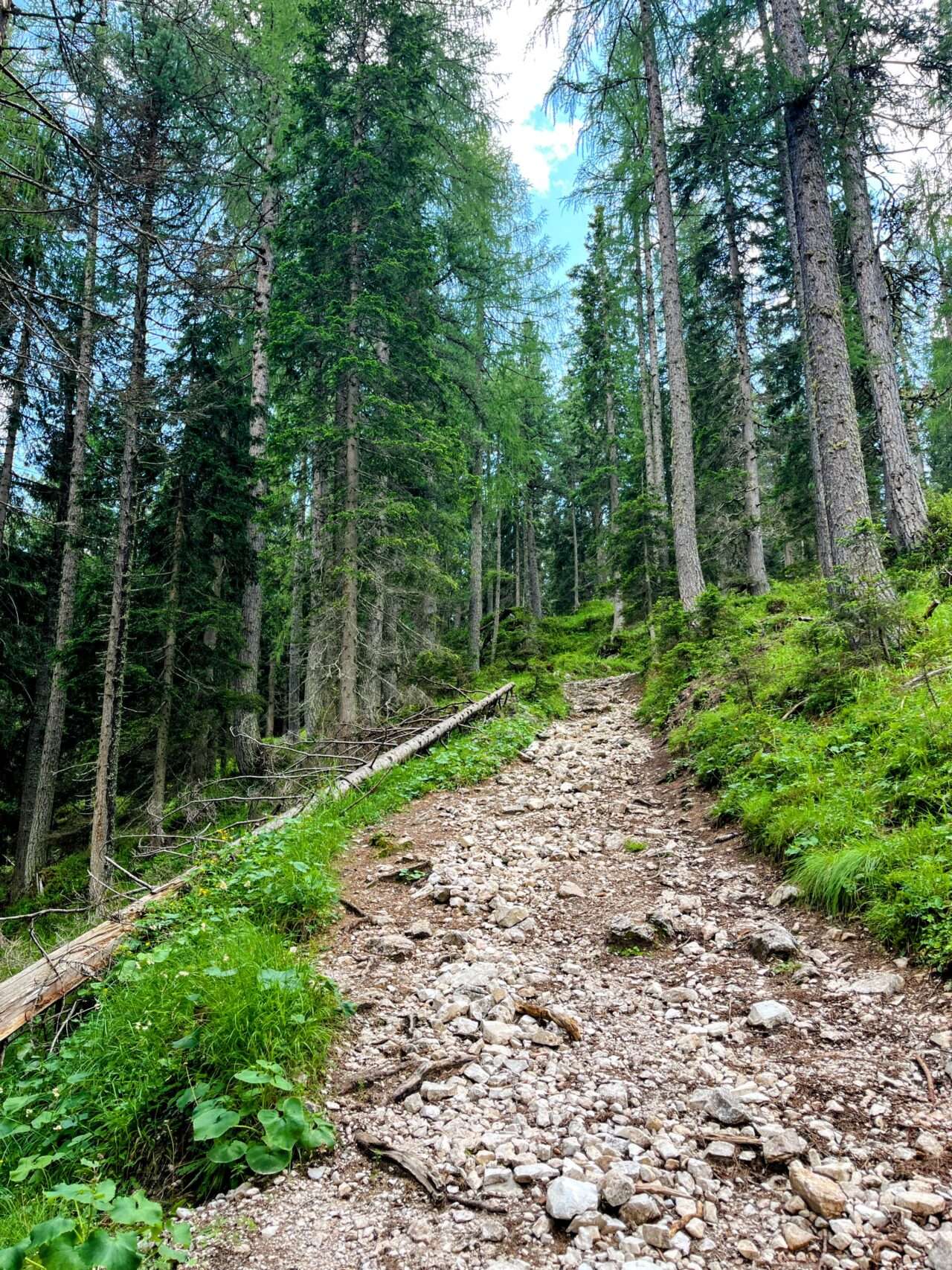 wanderung_dolomiten_hoehenweg_1_etappe_4_rifugio_lagazuoi_rifugio_cinque_torri_