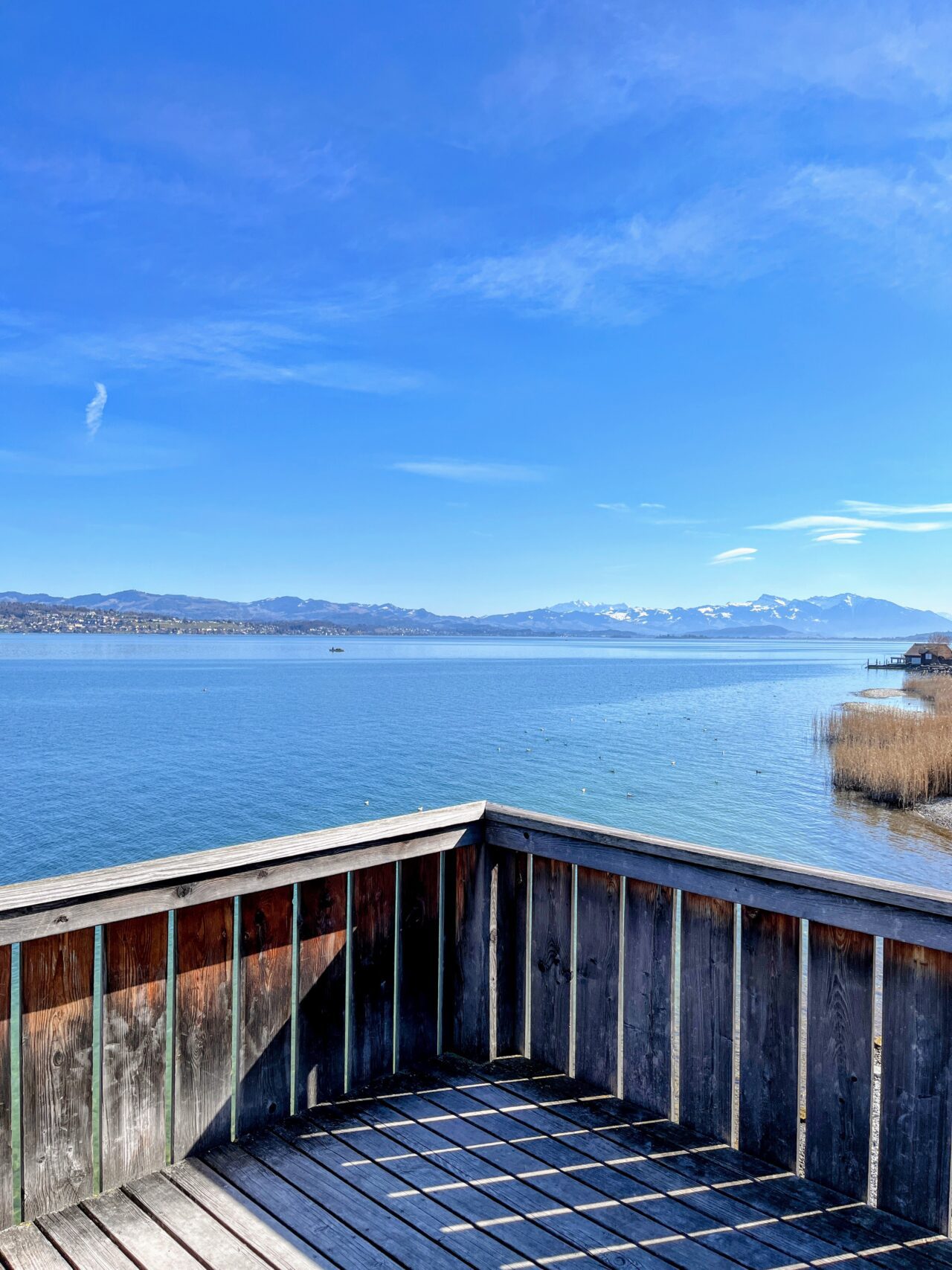 umrundung_zuerichsee_horgen_richterswil_