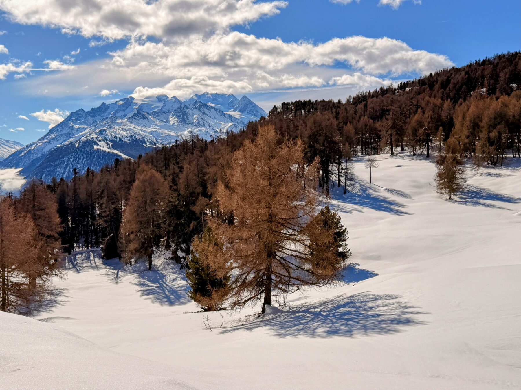 schneeschuhwanderung_buerchen_stand_