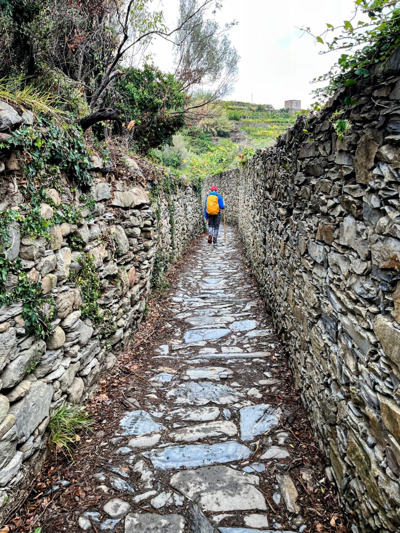 wandern_cinque_terre_