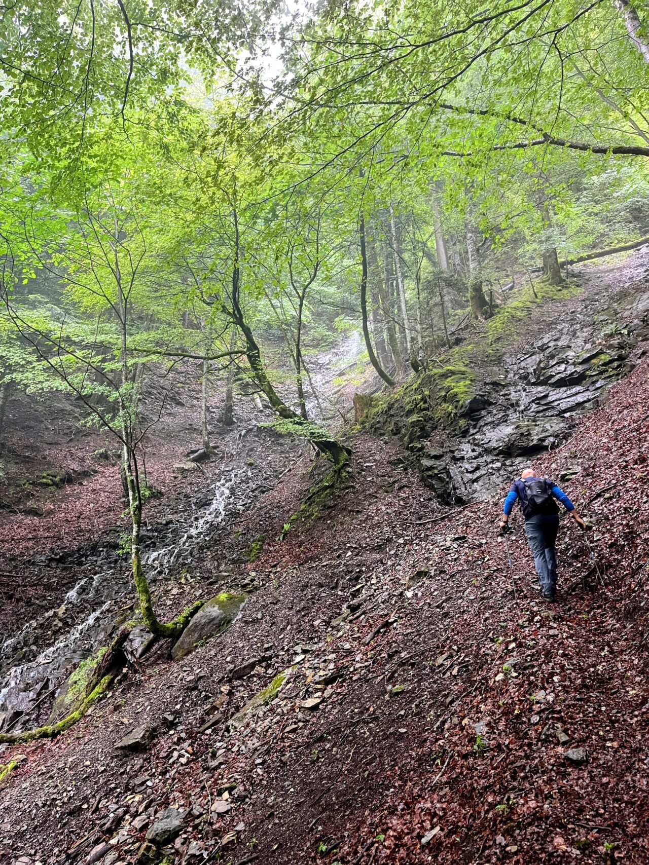 wanderung_hintere_unteriberg_stoos_fronalpstock_