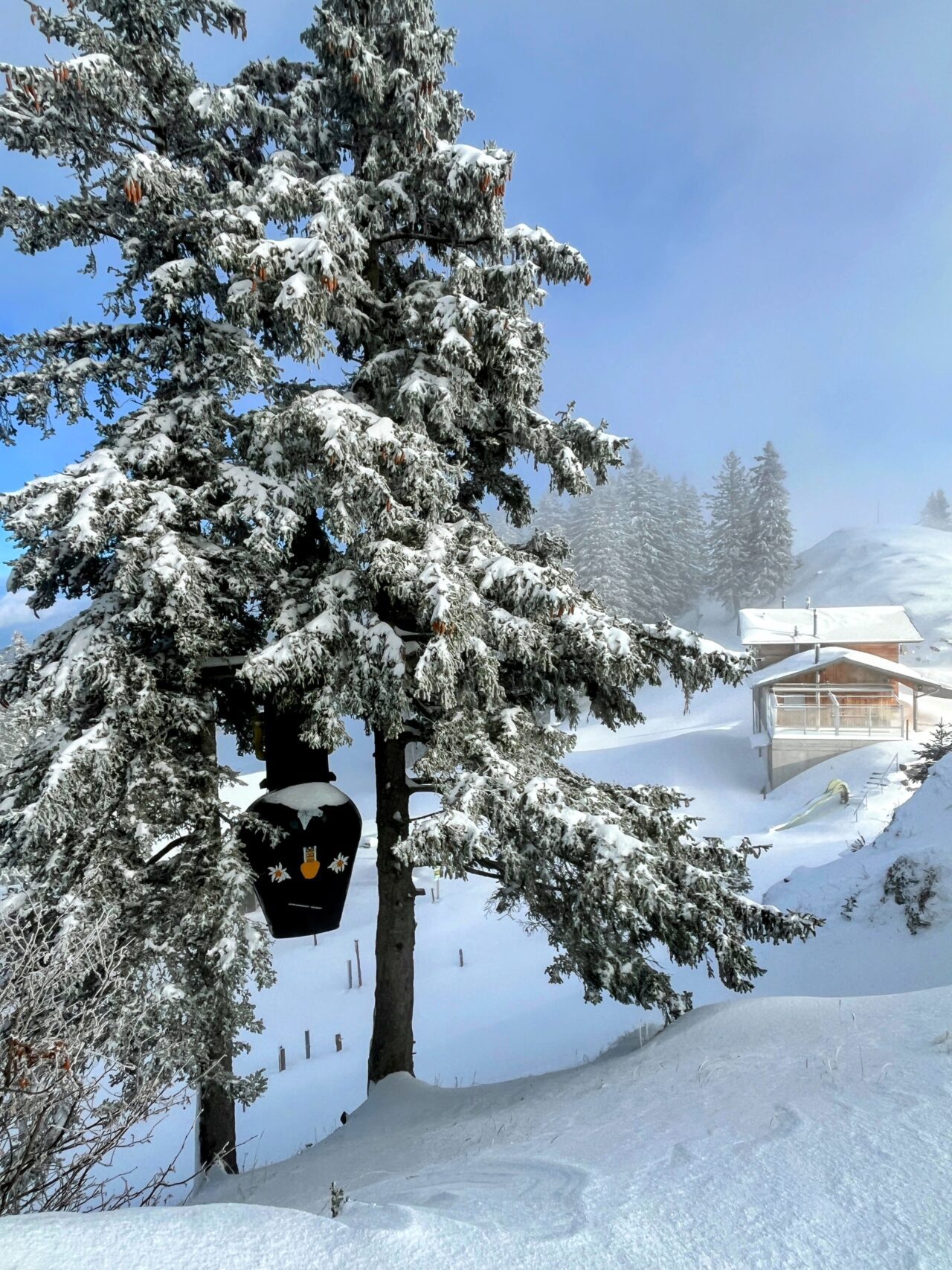 schneeschuhwanderung_wildspitz__IMG_2224