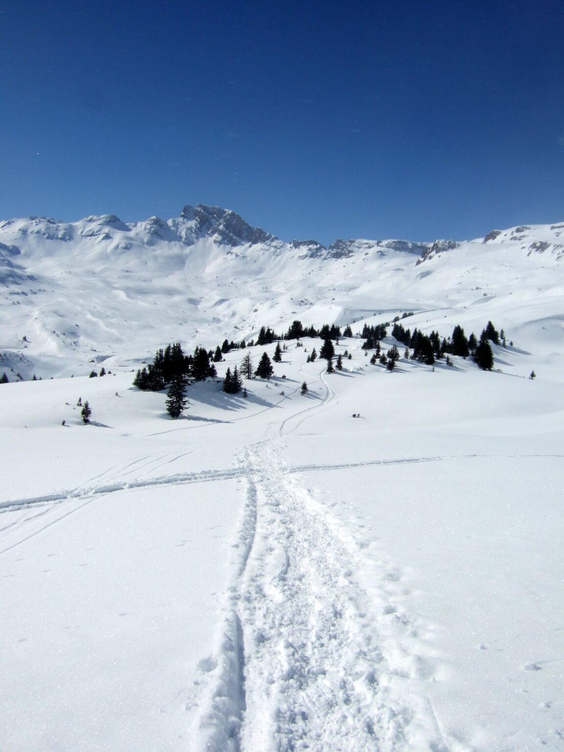 schneeschuhwanderung_spitzmeilenhuette_