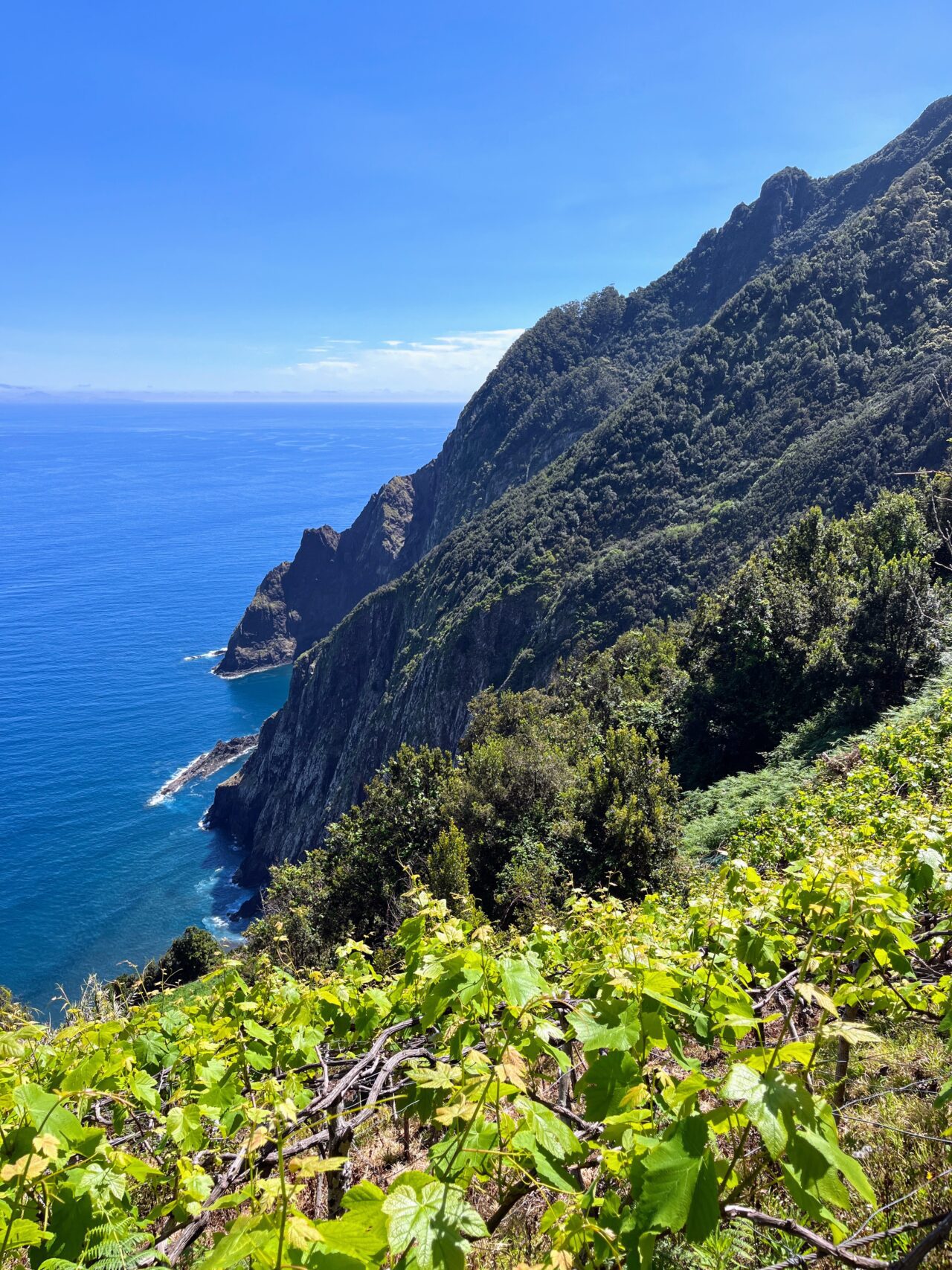 wanderung_madeira_porto_da_cruz_machico_