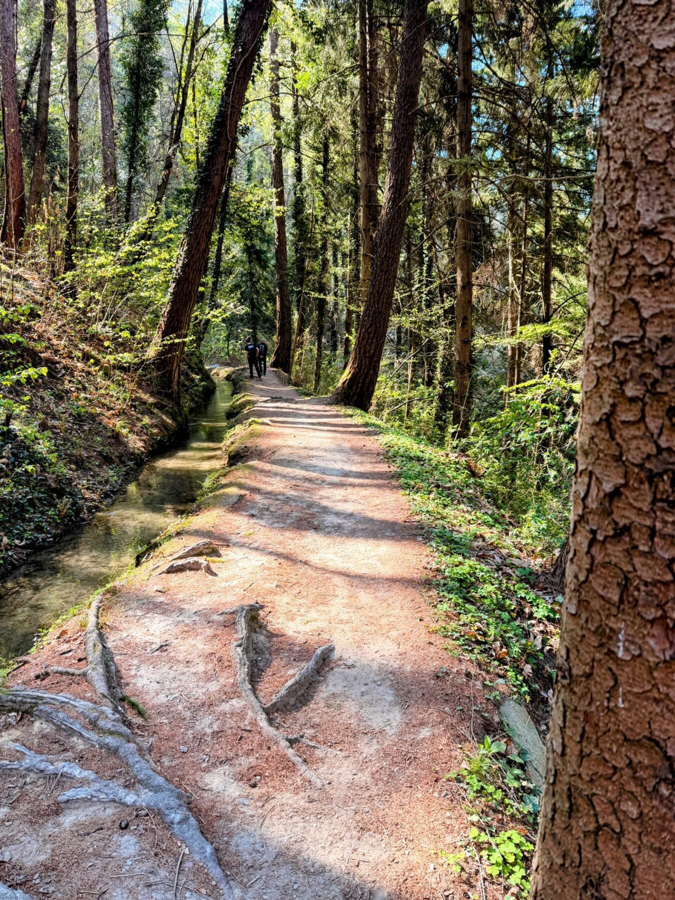 wanderung_maiser_waalweg_tappeinerweg_dorf_tirol_