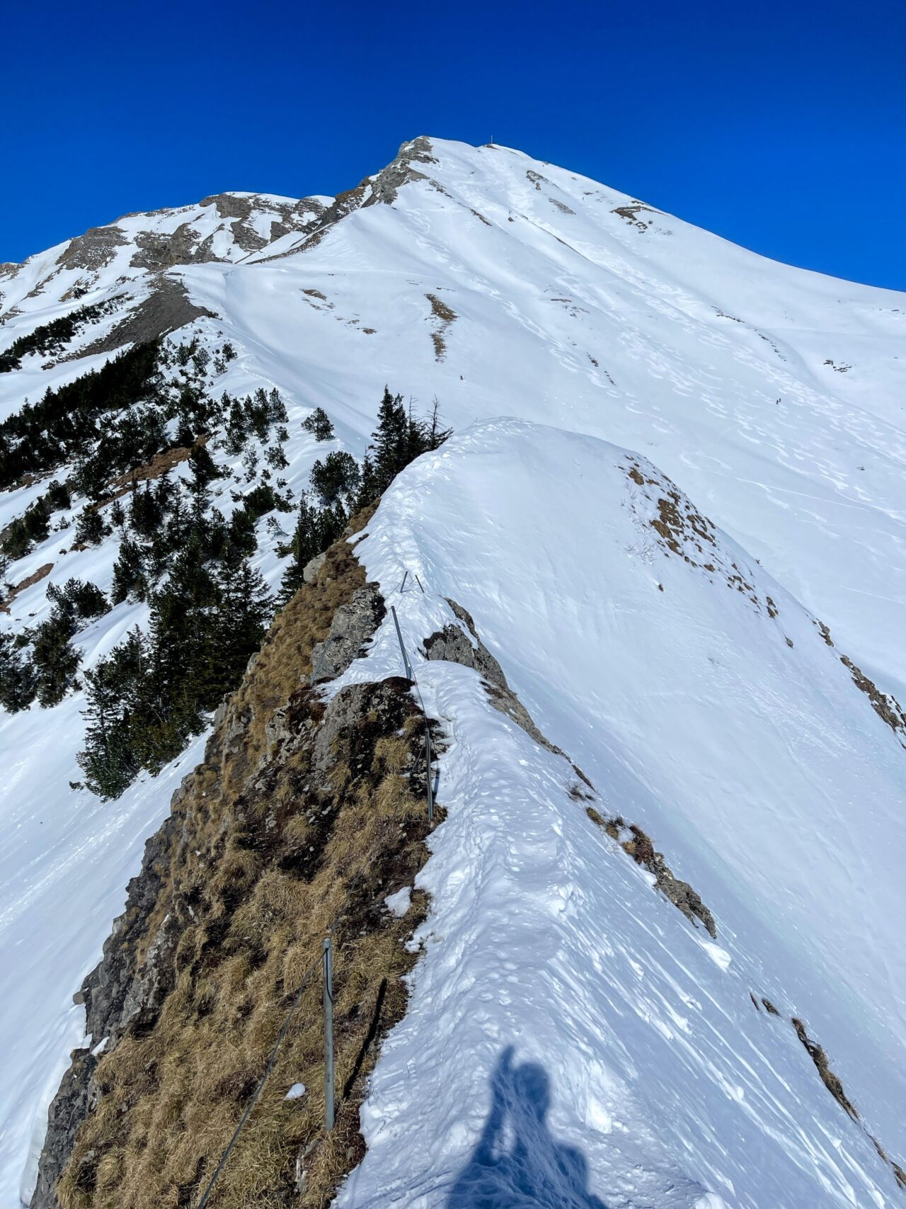 schneeschuhwanderung_turren_schoenbuehl_hoech_gumme_