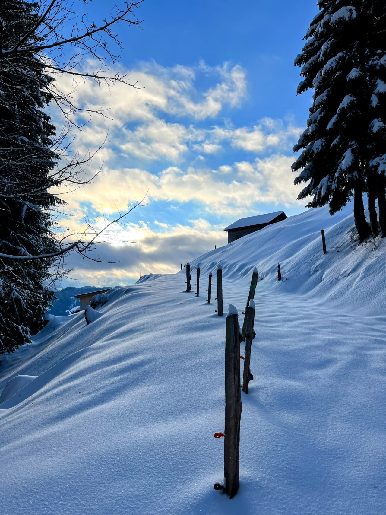 schneeschuhwanderung_wildspitz__IMG_2205
