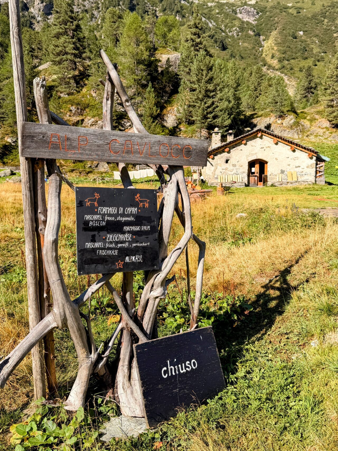 wanderung_sentiero_alpino_bregaglia_maloja_albignahuette__IMG_0134