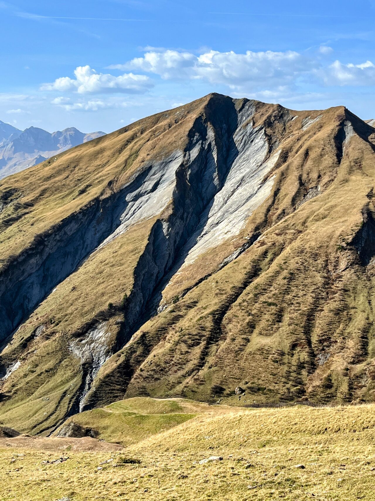 via_alpina_etappe_3_weisstannen_elm_