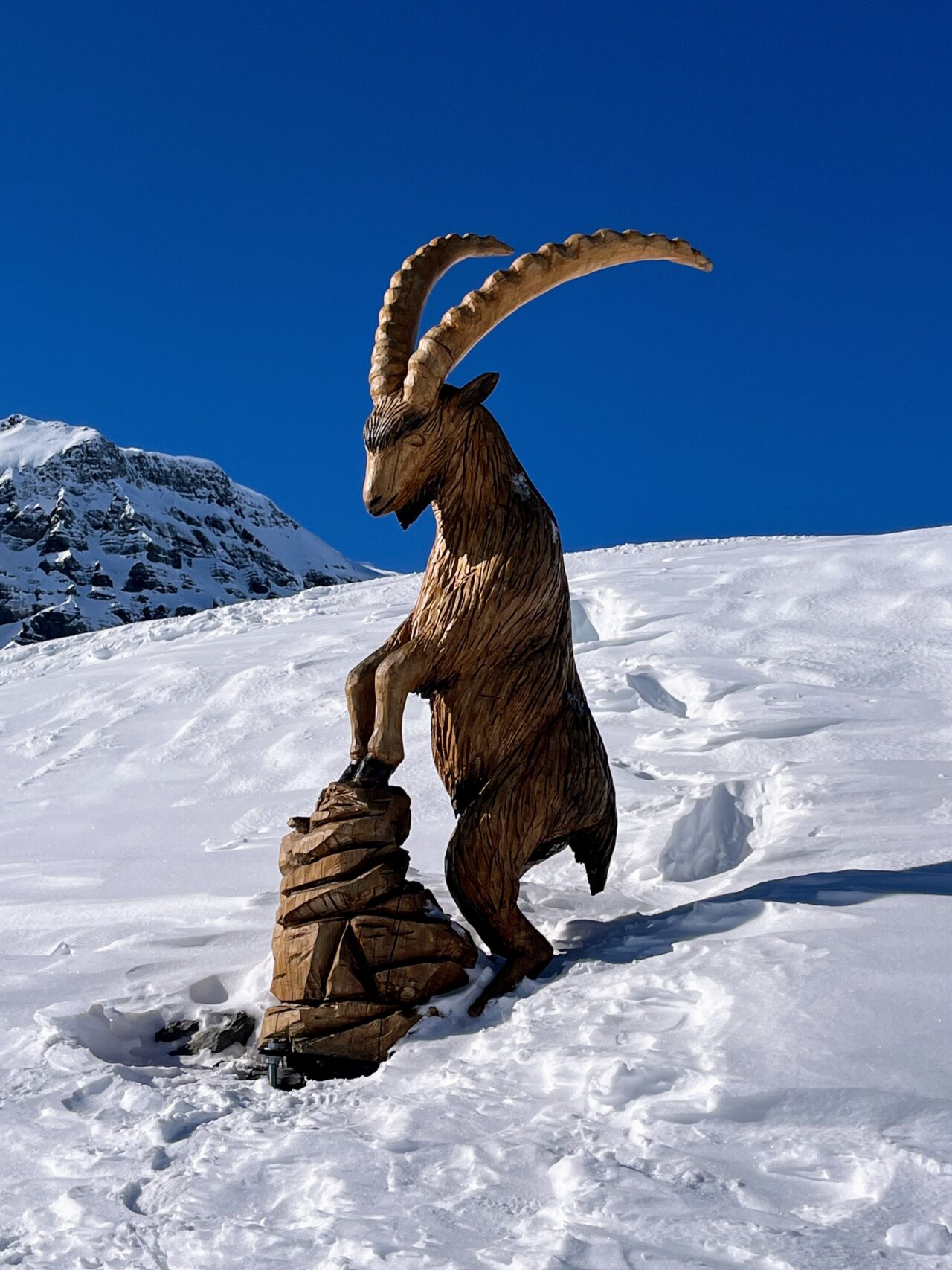 schneeschuhtour-melchsee-frutt-_IMG_0409