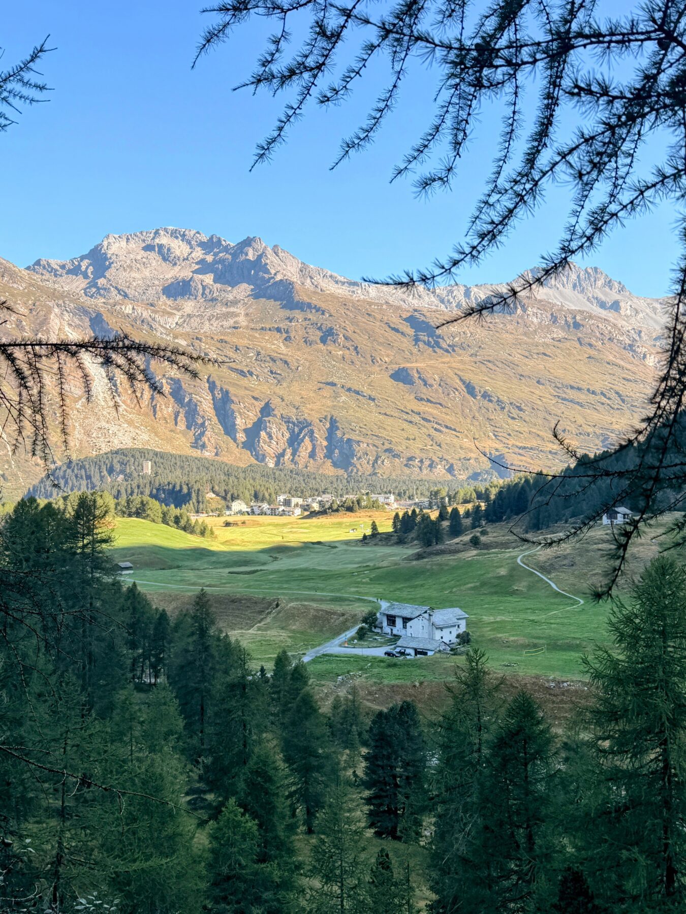 wanderung_sentiero_alpino_bregaglia_maloja_albignahuette__IMG_0096