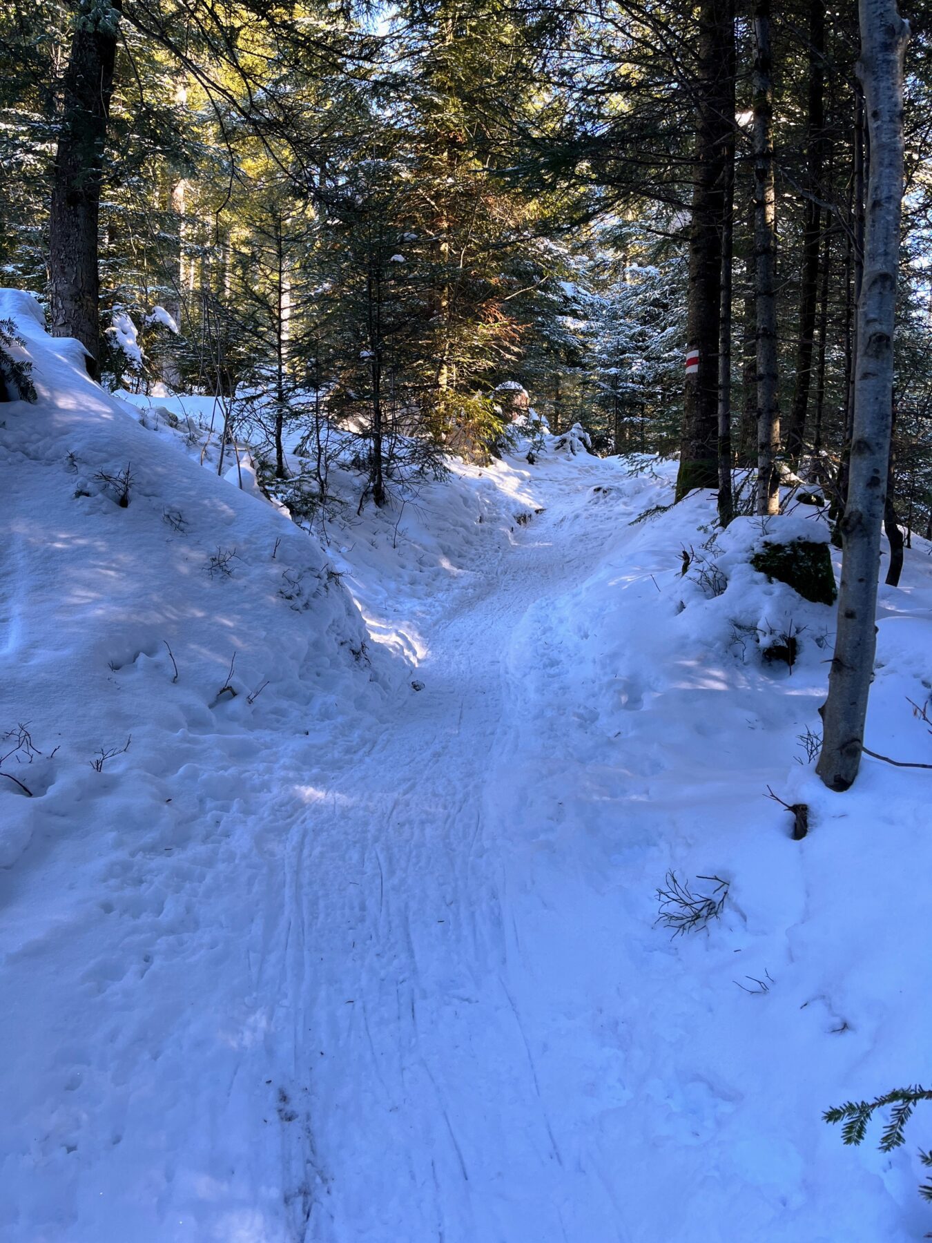 schneeschuhwanderung_rothenturm_ruchegg__IMG_0789