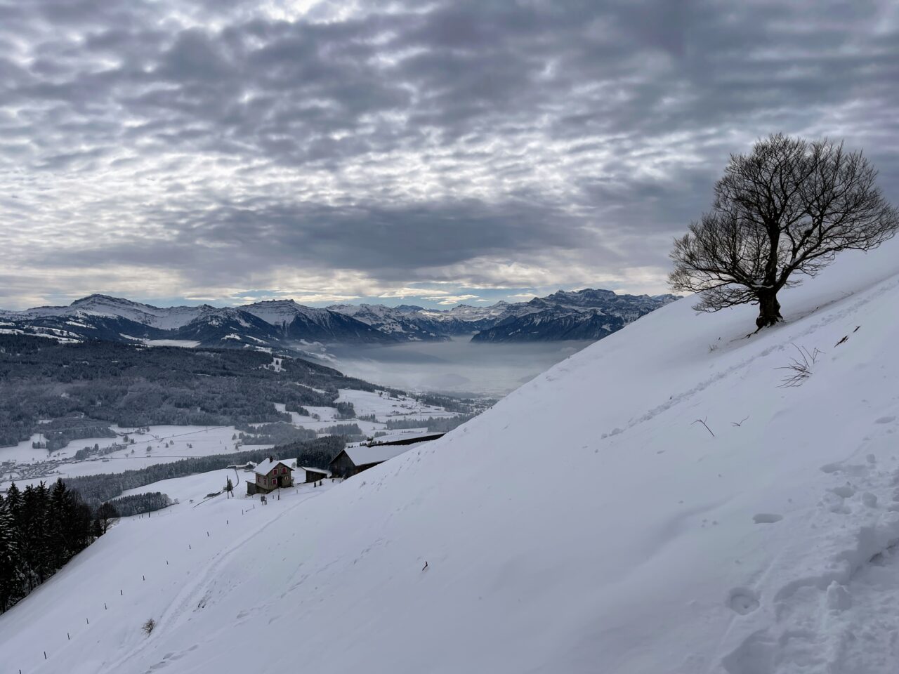 schneeschuhwanderung_atzmaennig_chruezegg_
