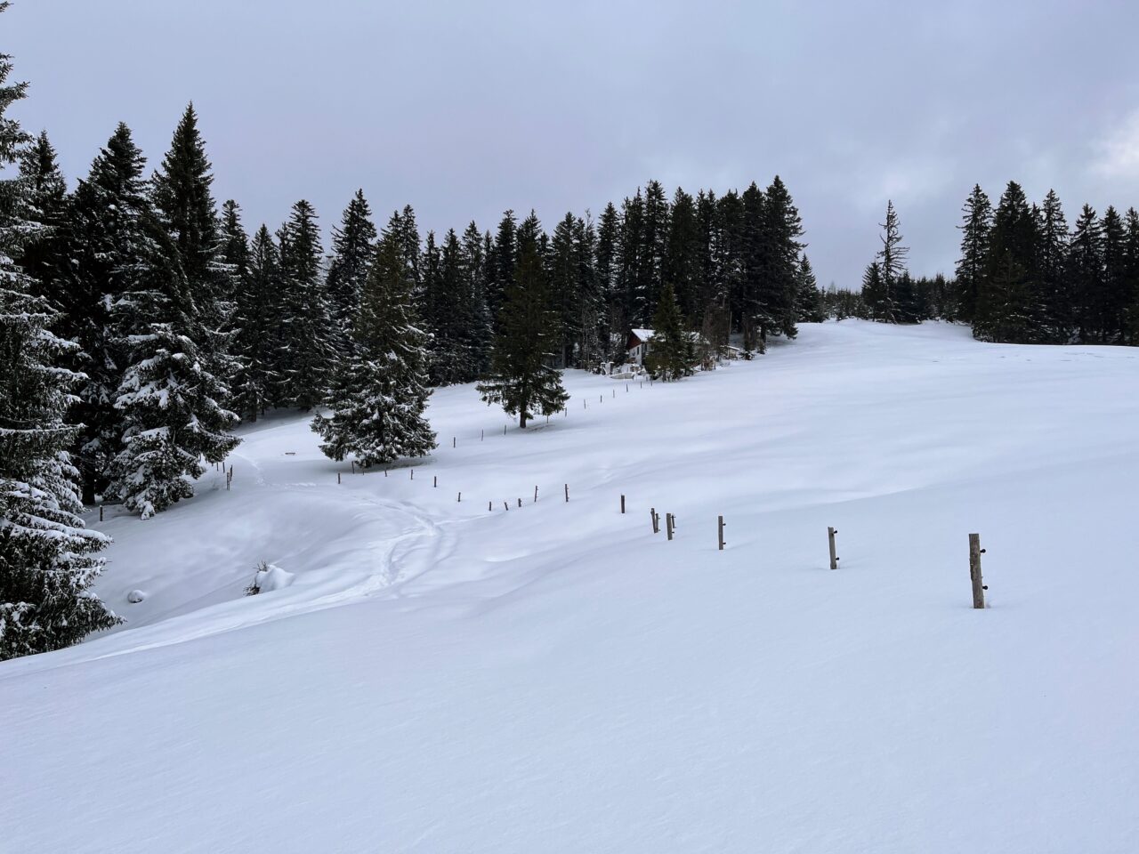 schneeschuhtour_sattelegg_