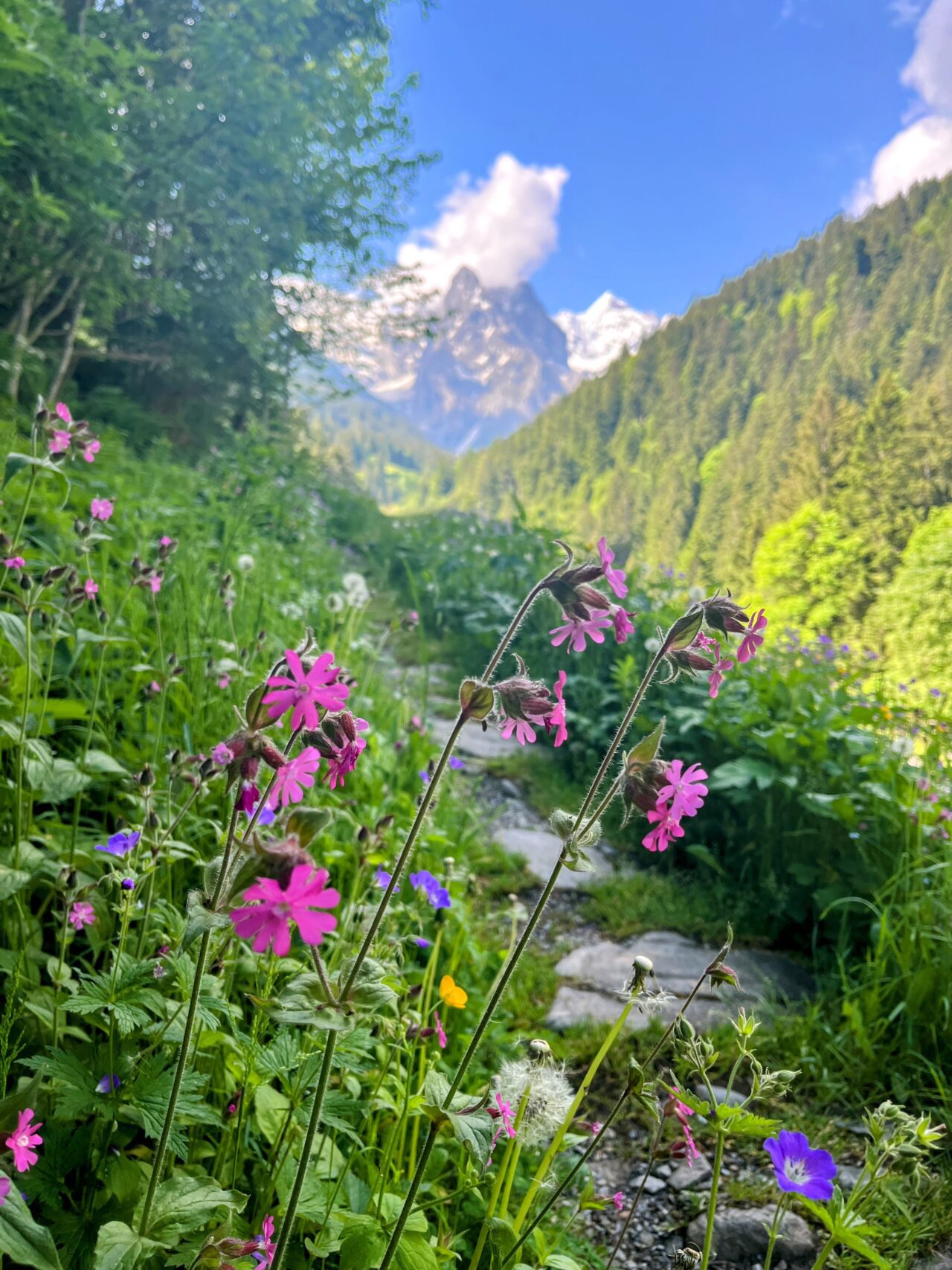 wanderung_via_alpina_meiringen_grindelwald_