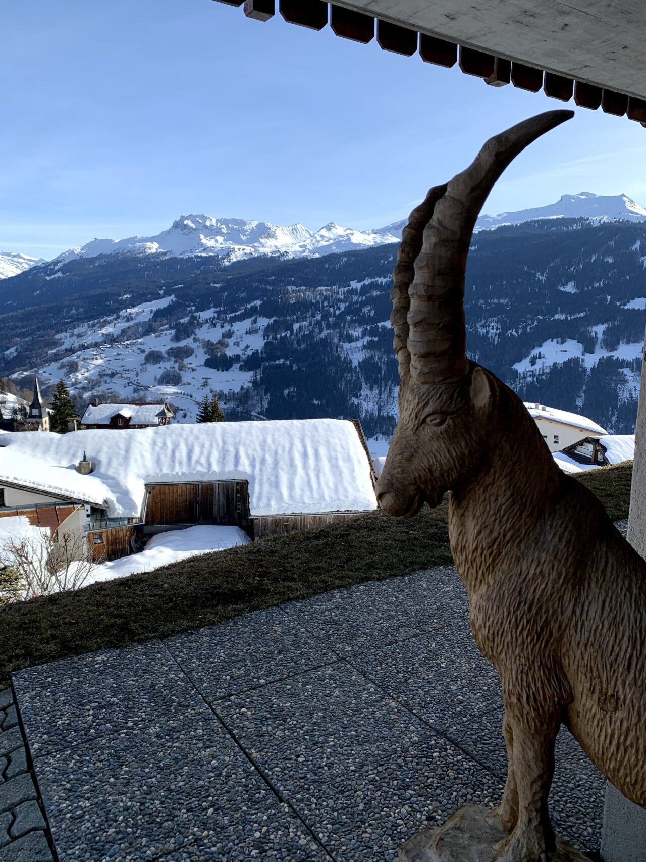 schneeschuhwandern_pany_