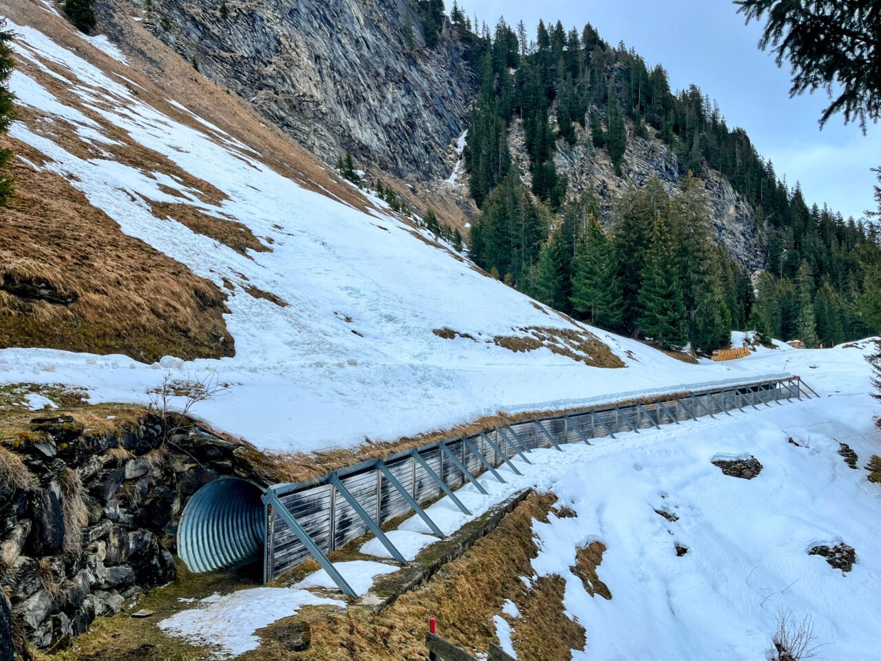 schneeschuhwanderung_panoramaweg_bussalp_bort__IMG_3876