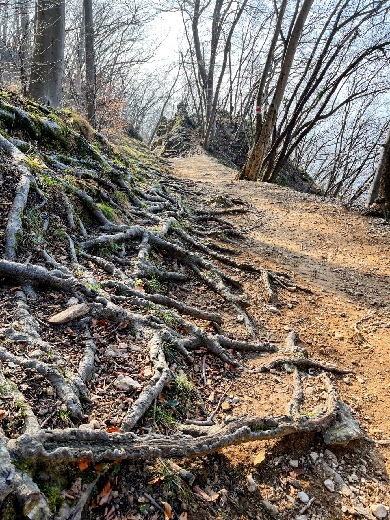 wanderung_transswiss_etappen_29_bis_32_bellinzona_mendrisio_