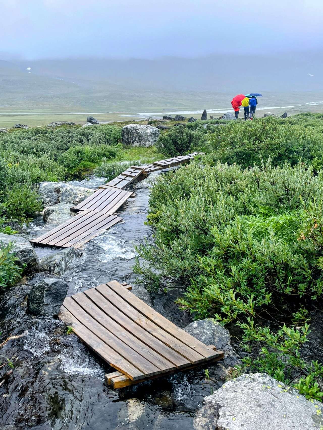 wanderung_jotunheimen_glitterheim_spiterstulen_