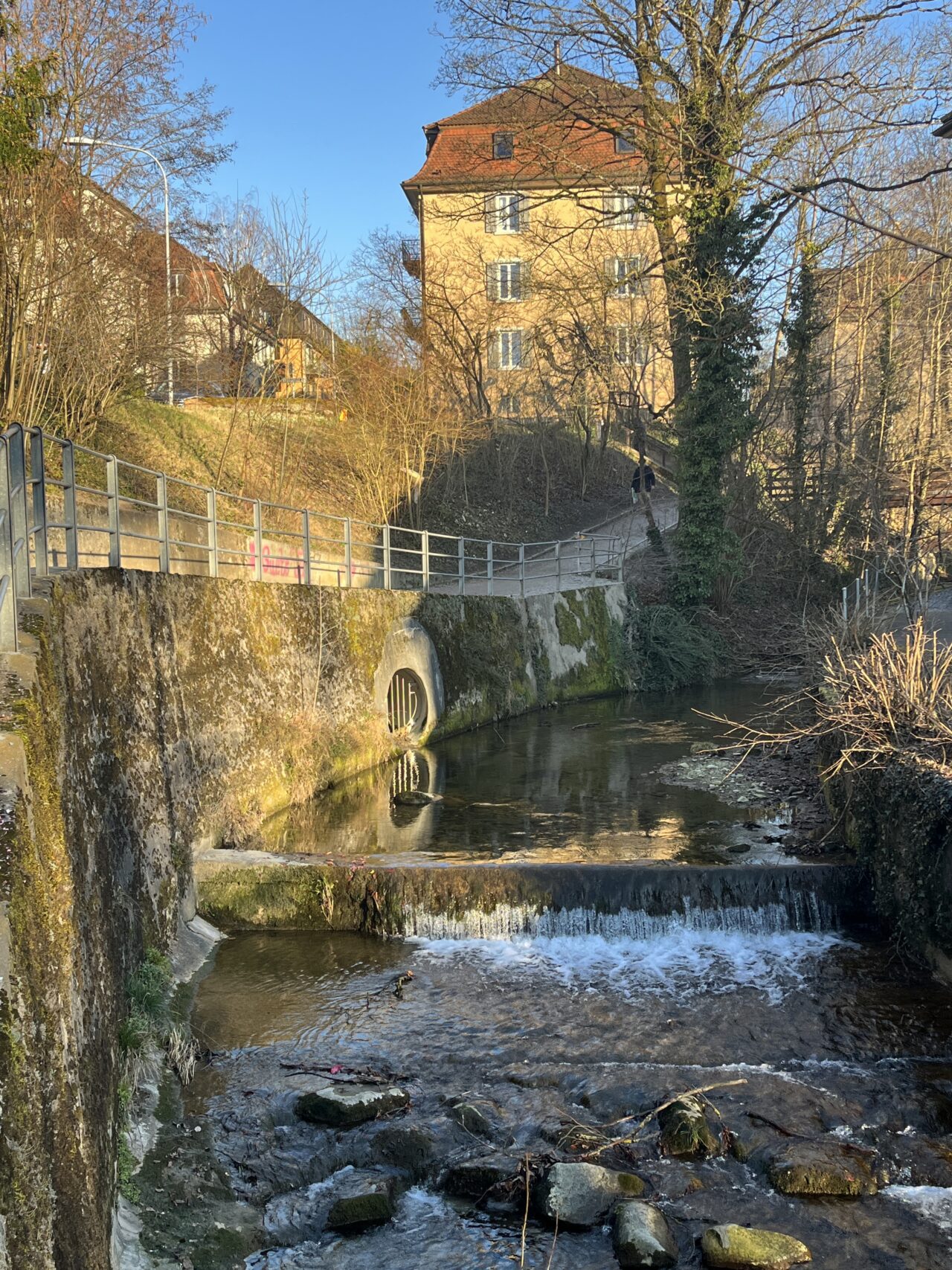 wanderung_zürich_loorenkopf_