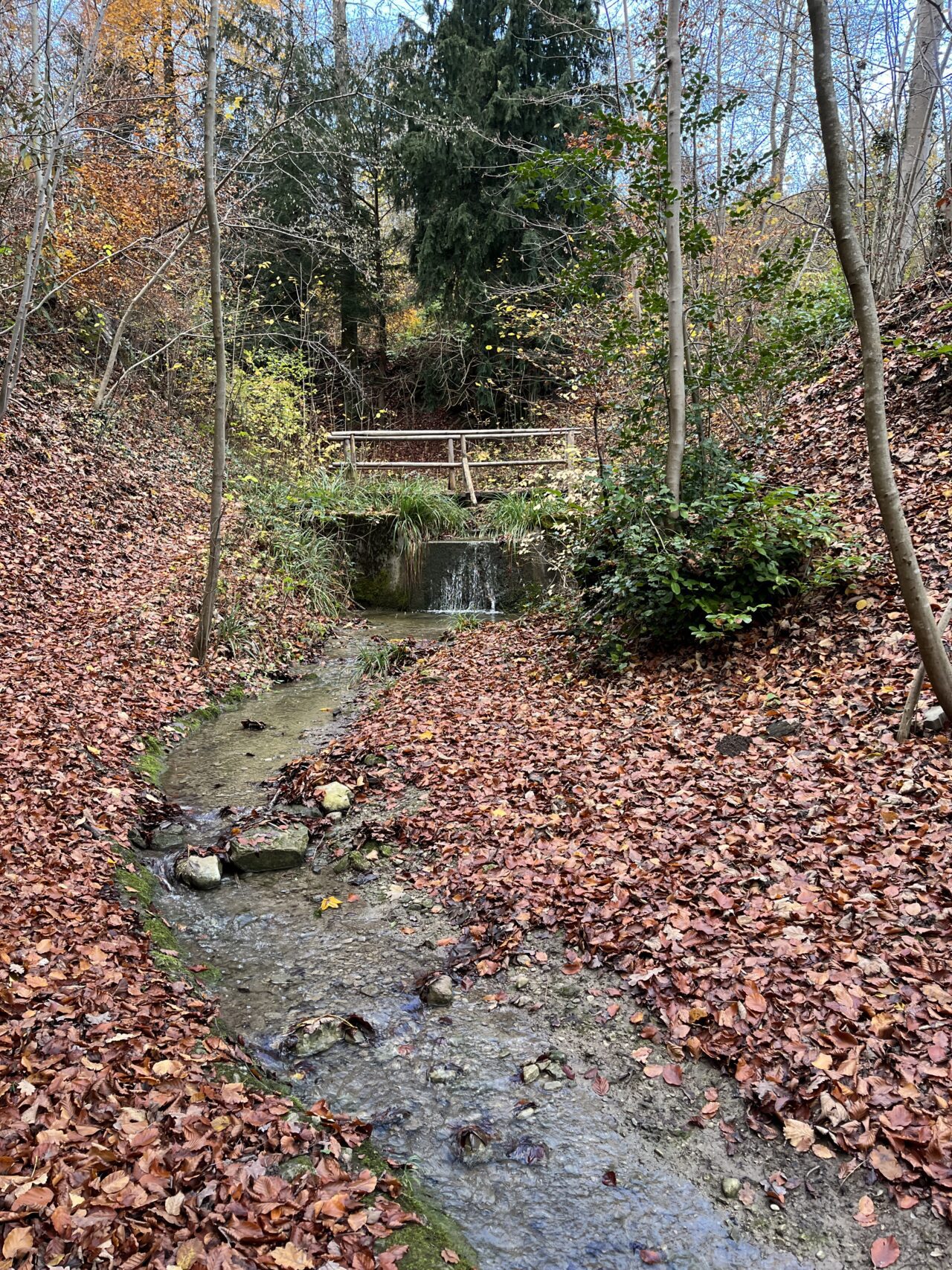 wanderung_teehuette_fallaetsche_
