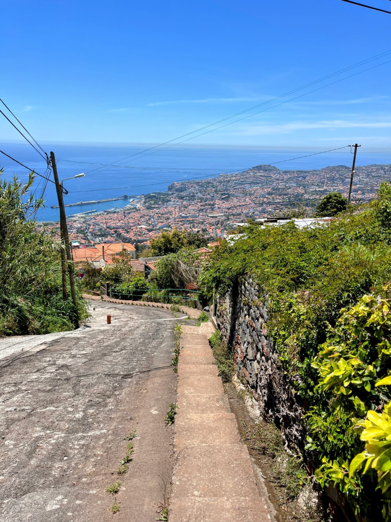 wanderung_monte_botanischer_garten_funchal_