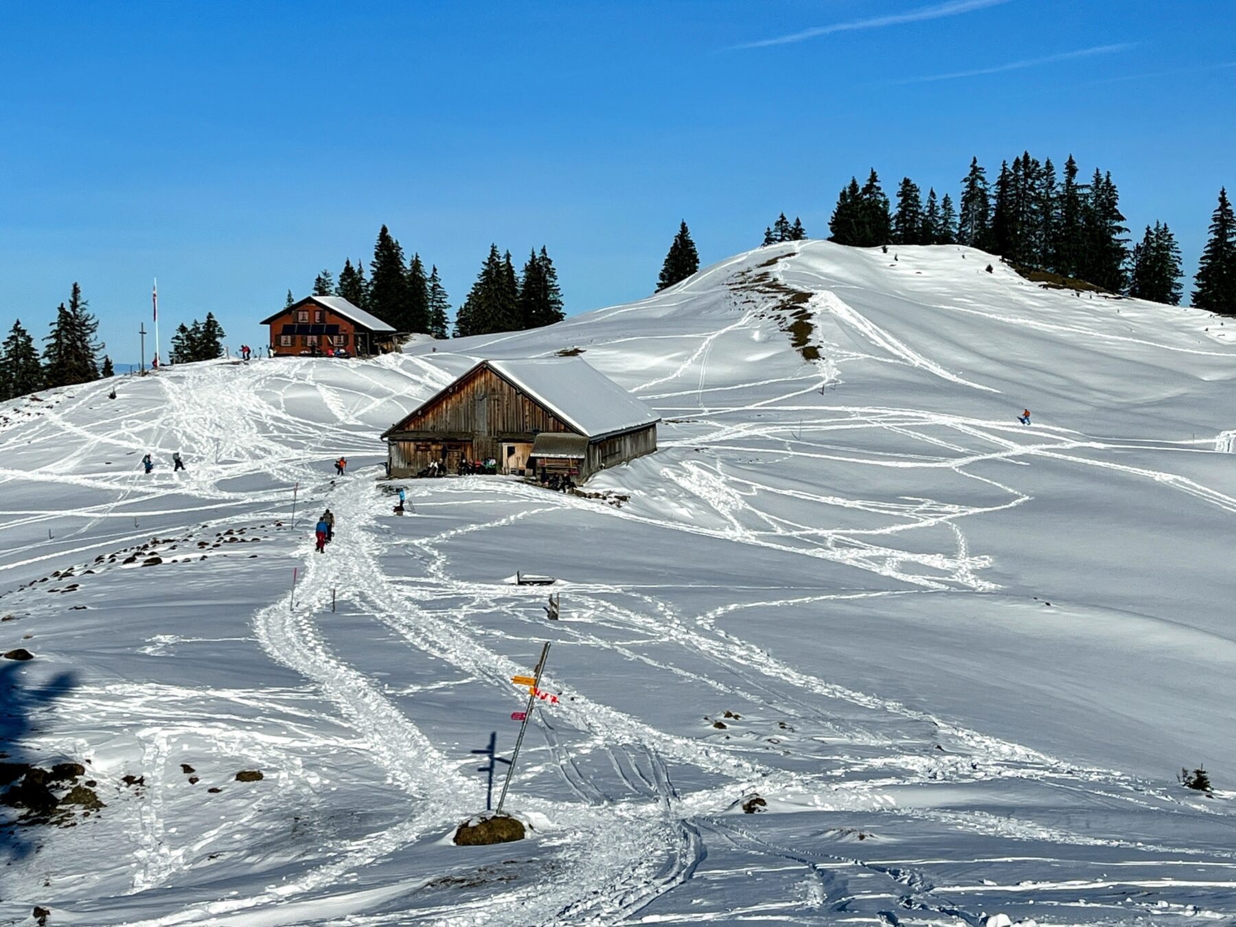 schneeschuhwanderung_oberiberg_furggelenstock__IMG_2778