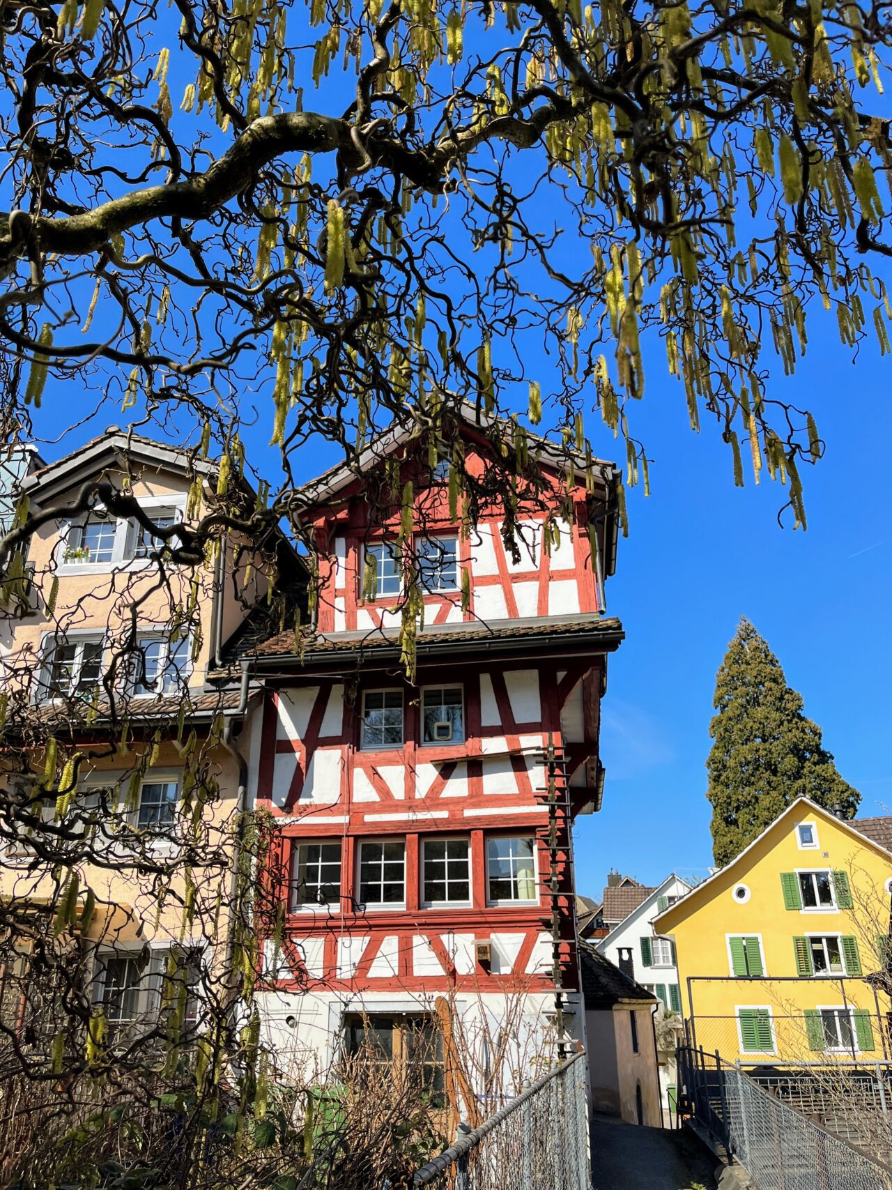 umrundung_zuerichsee_horgen_richterswil_