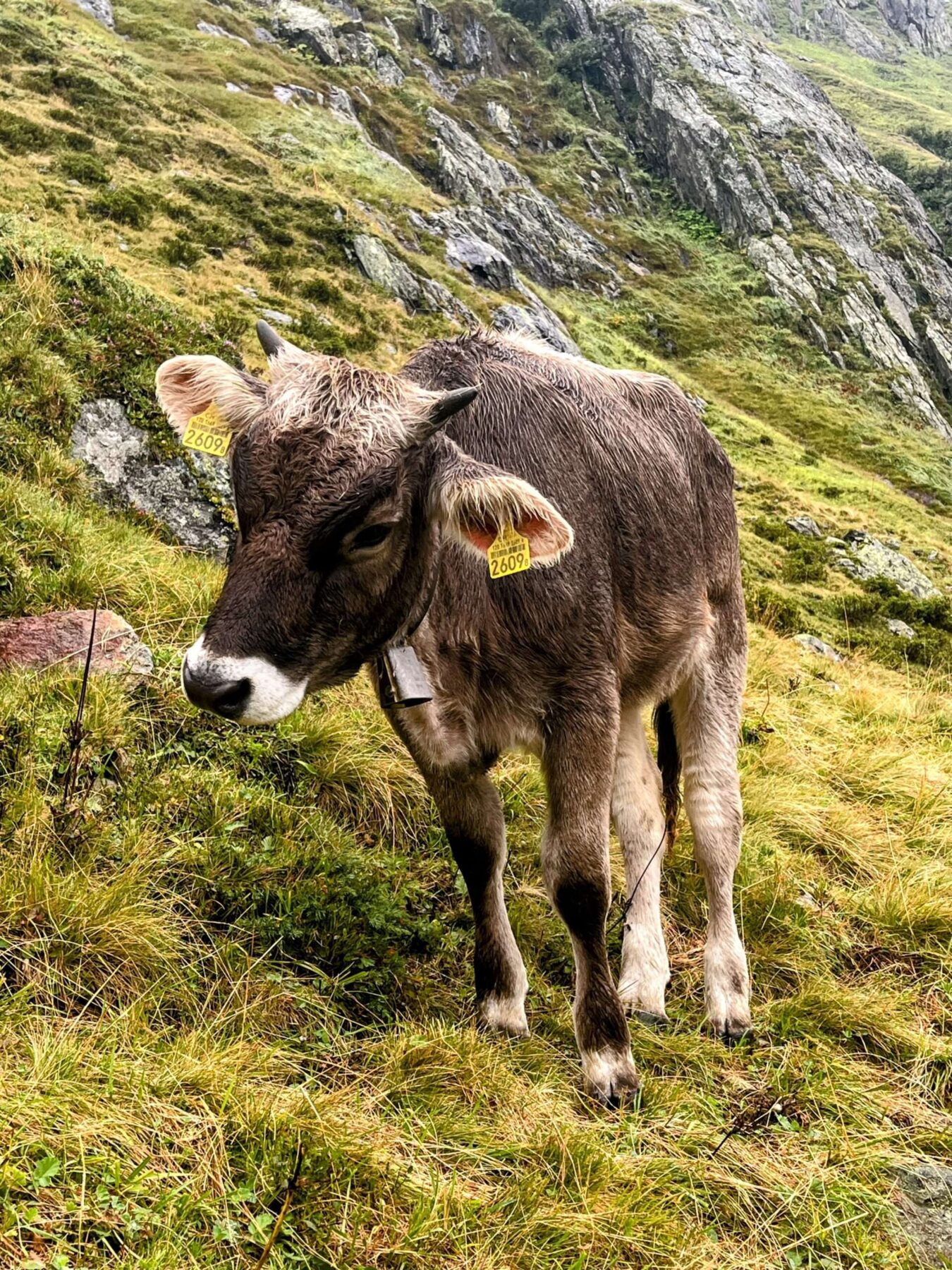 wanderung_voralphuette_