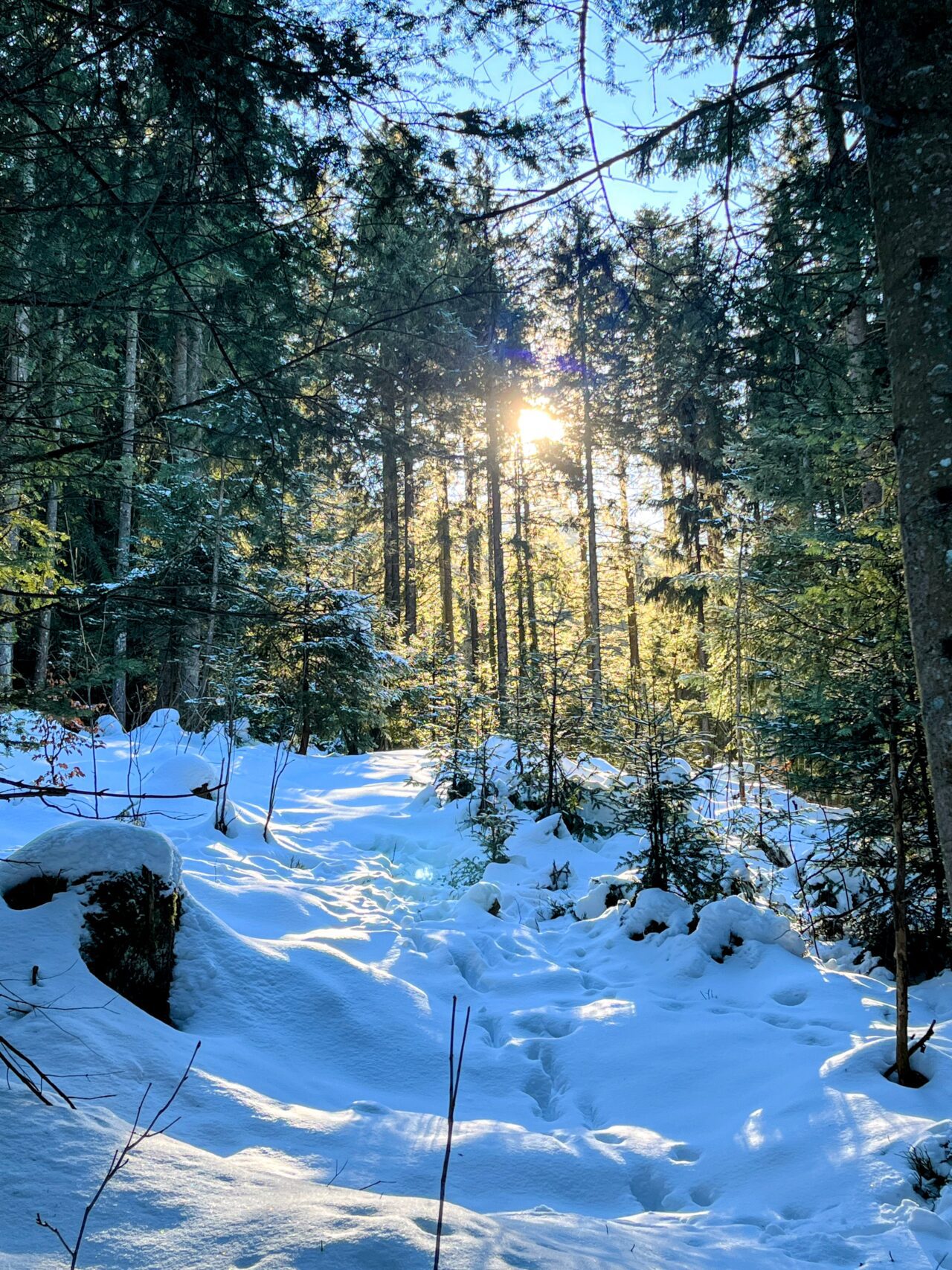 schneeschuhwanderung_rothenturm_ruchegg__IMG_0821 (Kopie)