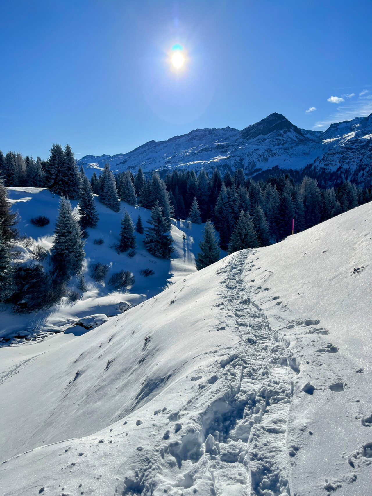 schneeschuhtour_alp_flix_573_schweizmobil__IMG_6297