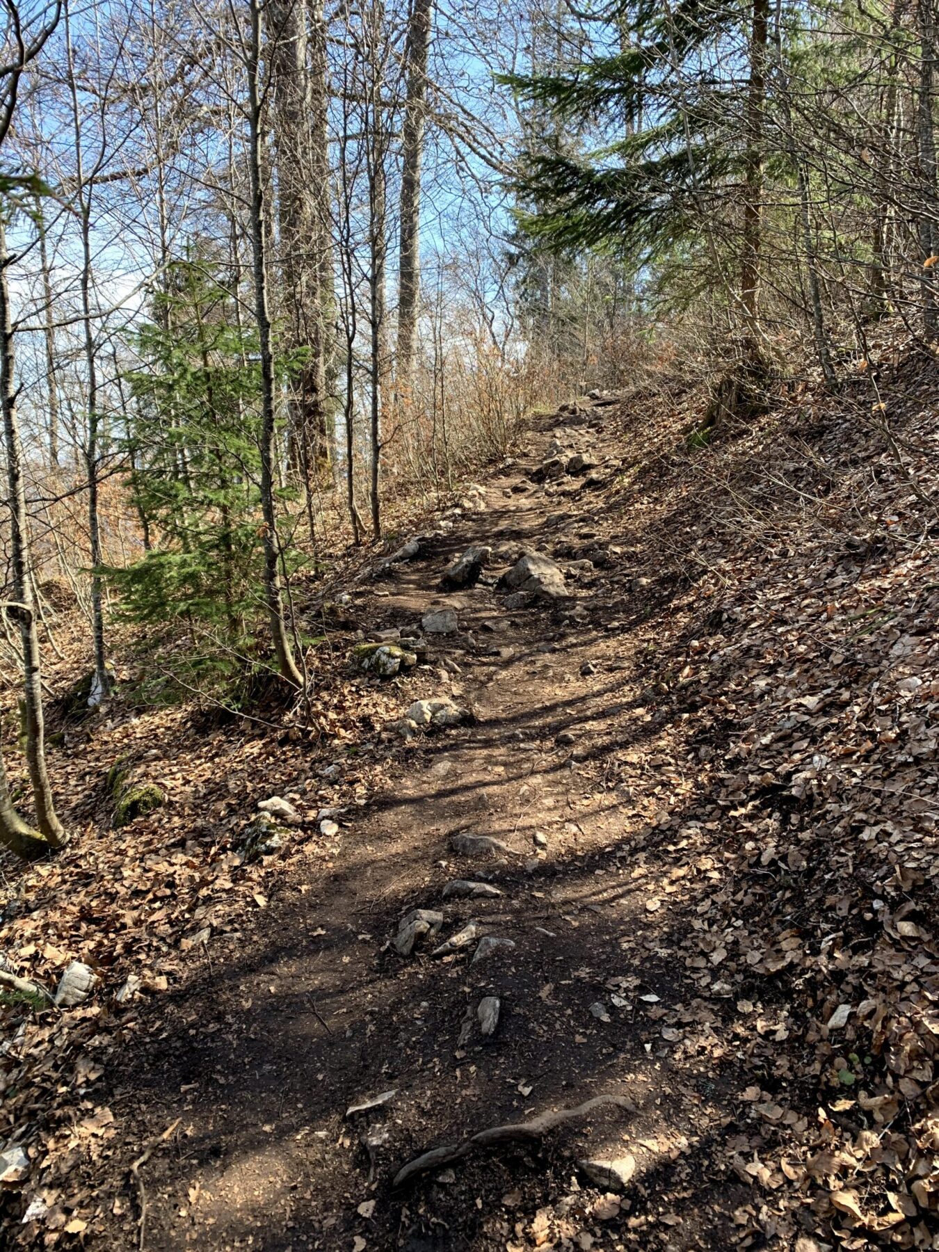 wanderung_creux_du_van_
