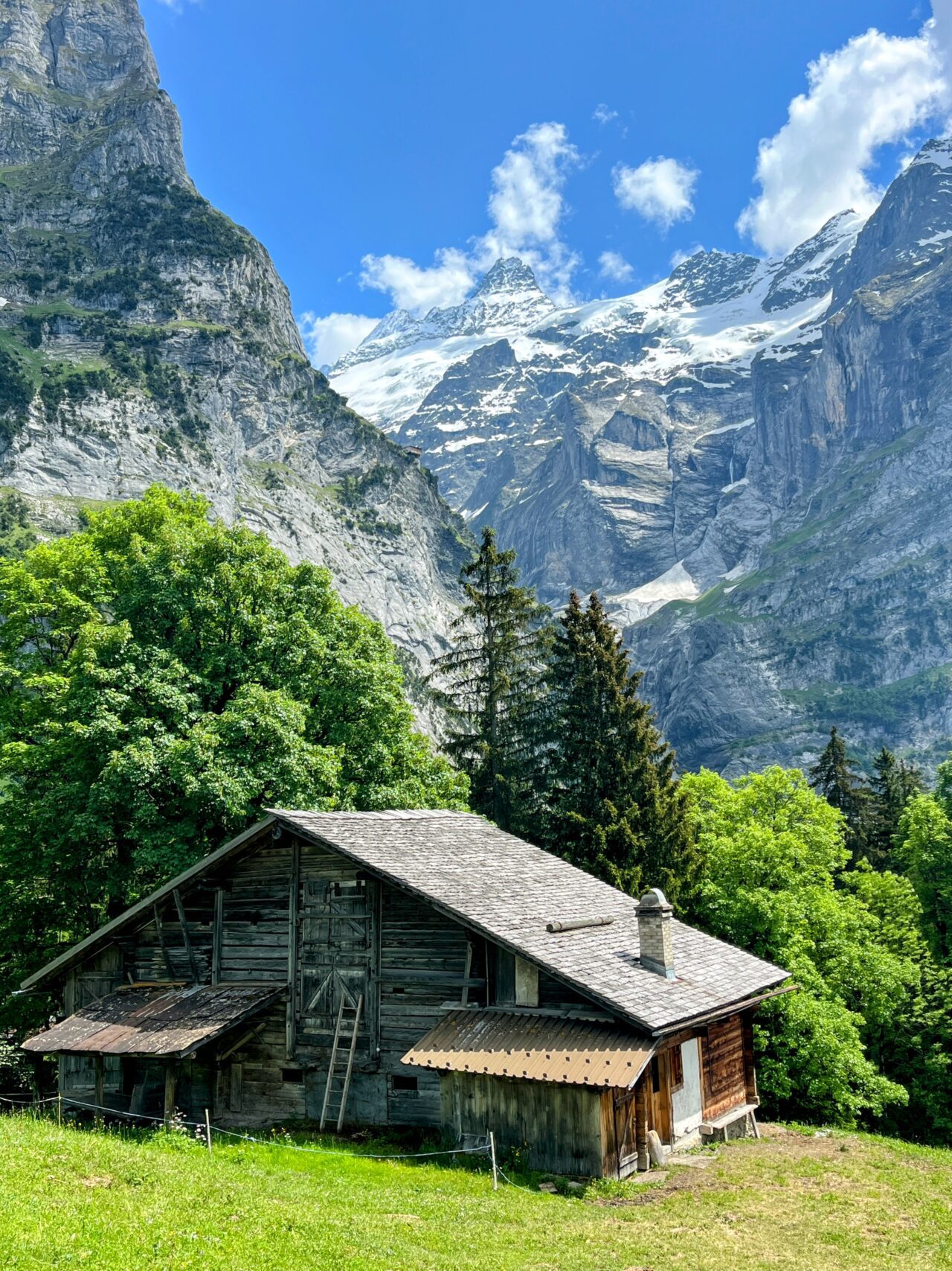 wanderung_via_alpina_meiringen_grindelwald_