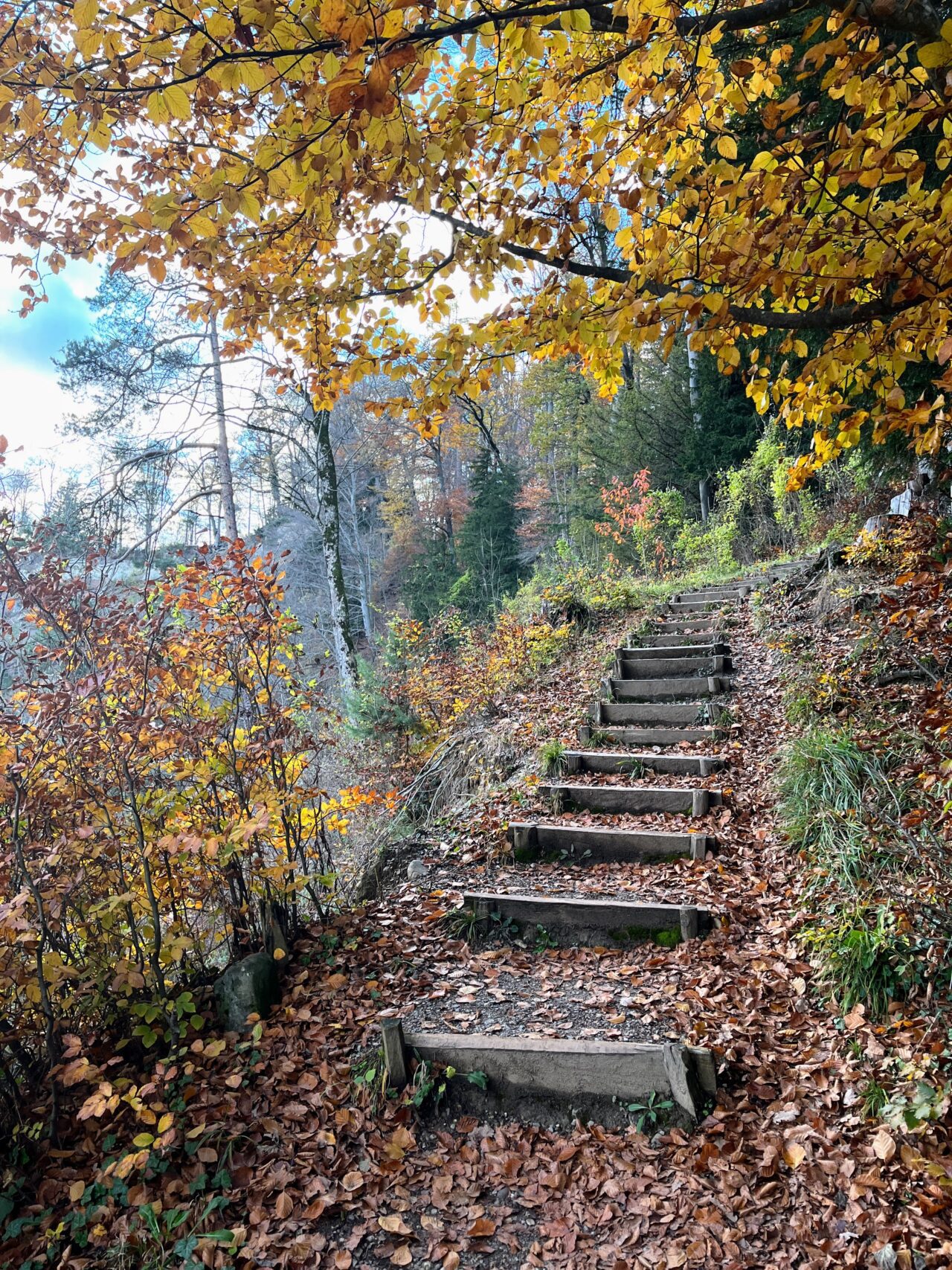 wanderung_teehuette_fallaetsche_