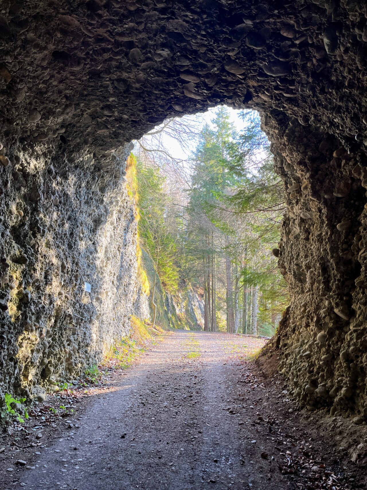 trans-swiss-trail-etappe-12-und-13-luetzelfluh-langnau-eggiswil-