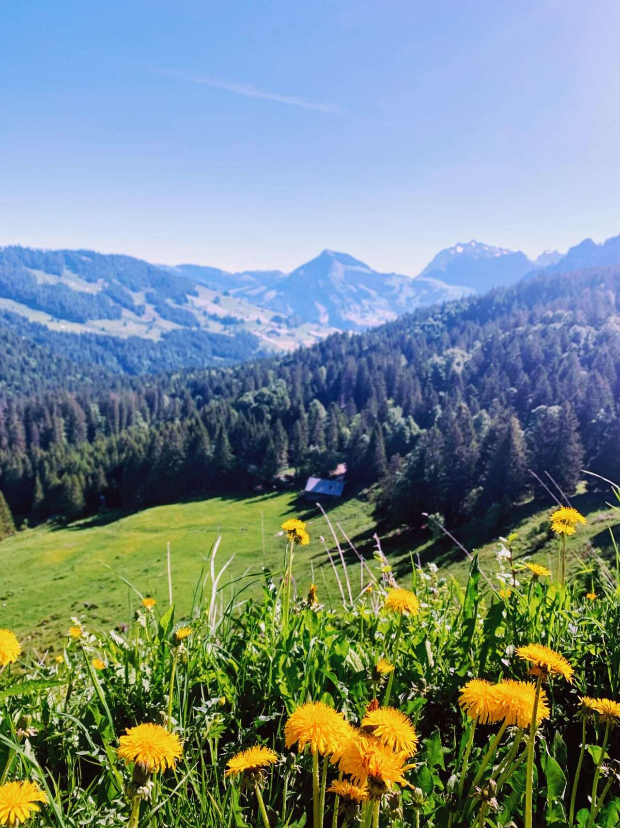 wanderung_speer_